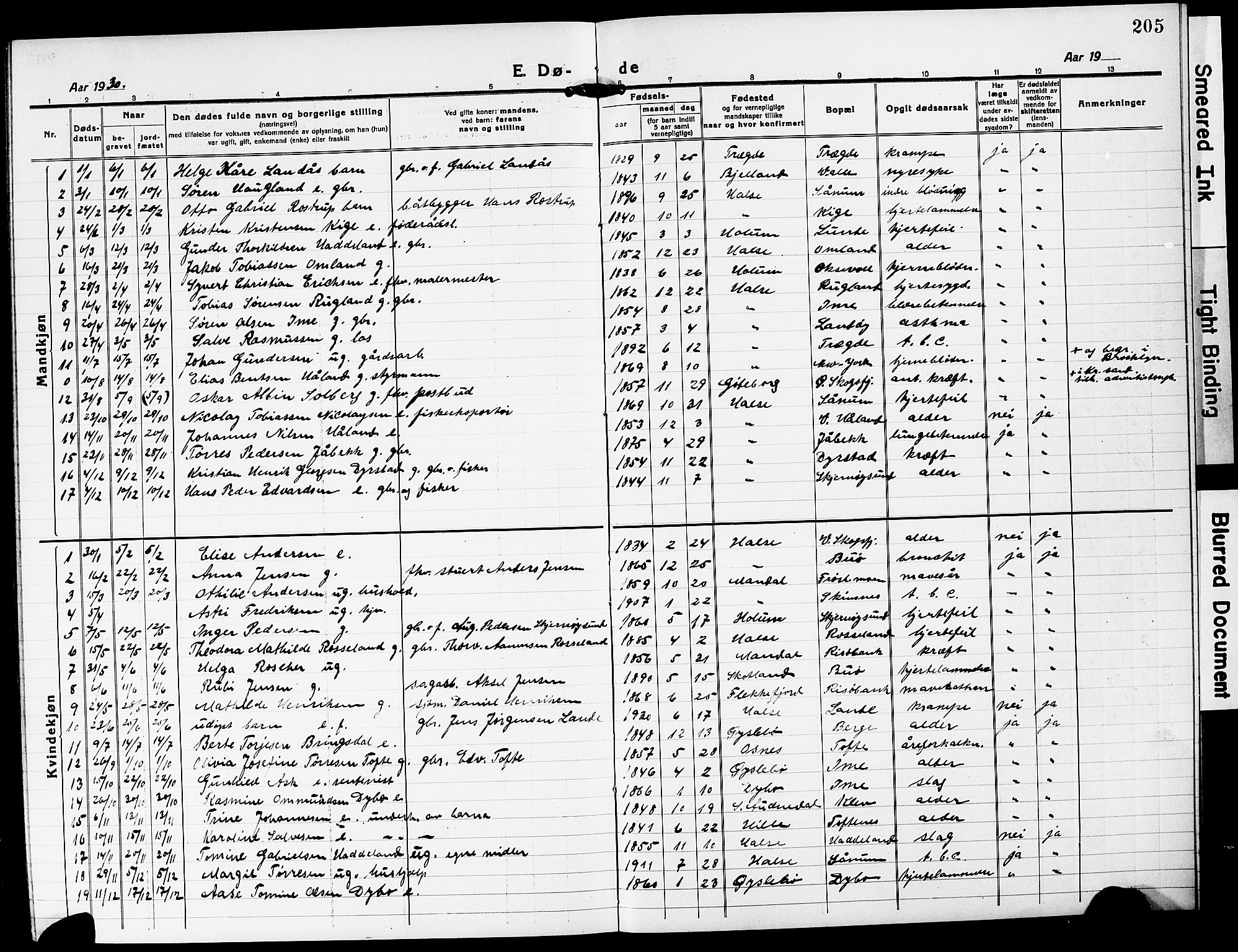 Mandal sokneprestkontor, SAK/1111-0030/F/Fb/Fba/L0013: Parish register (copy) no. B 7, 1918-1931, p. 205