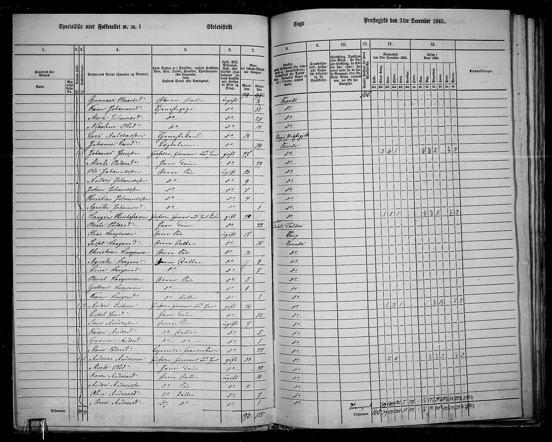 RA, 1865 census for Vang/Vang og Furnes, 1865, p. 95