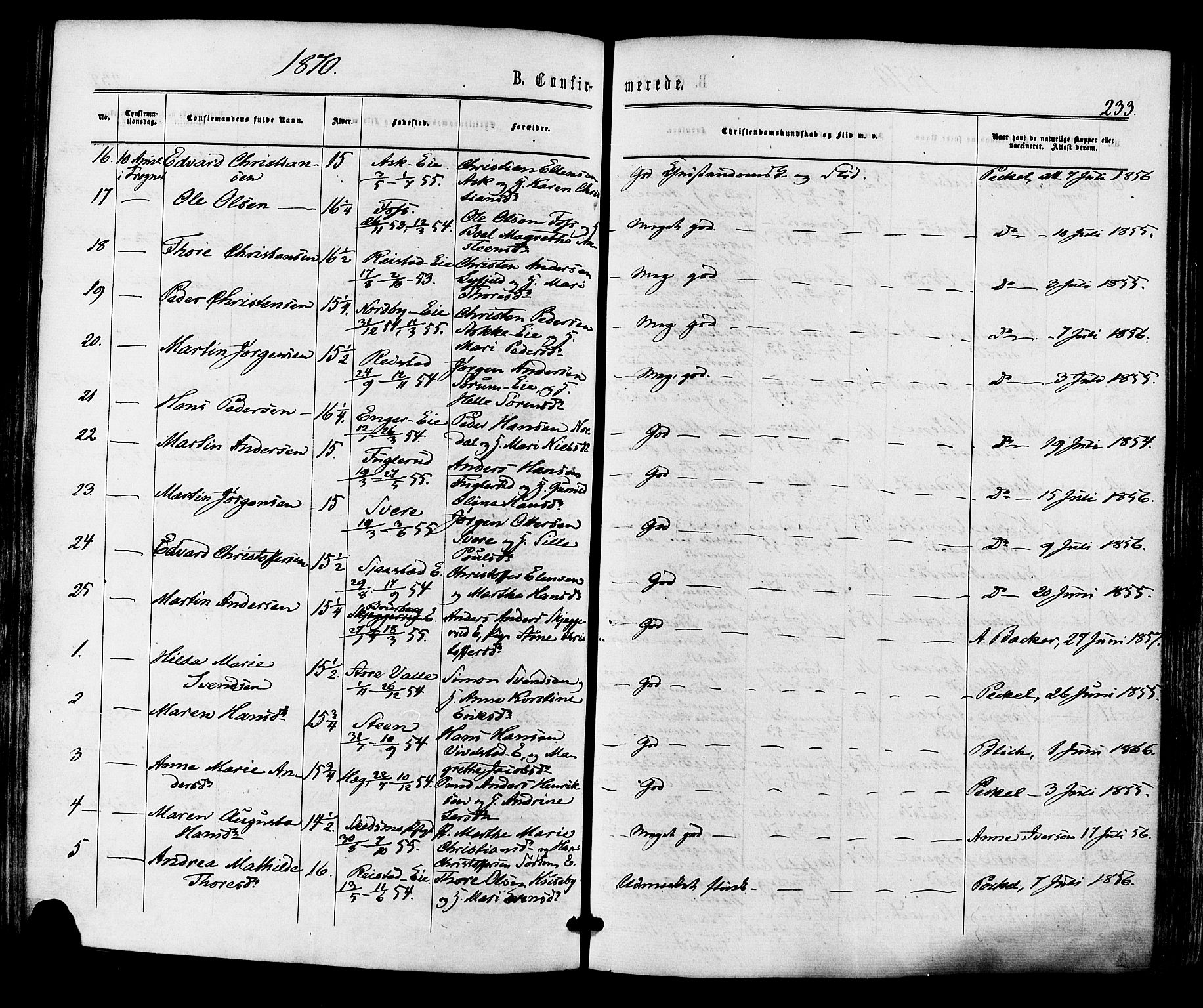 Lier kirkebøker, AV/SAKO-A-230/F/Fa/L0013: Parish register (official) no. I 13, 1865-1874, p. 233