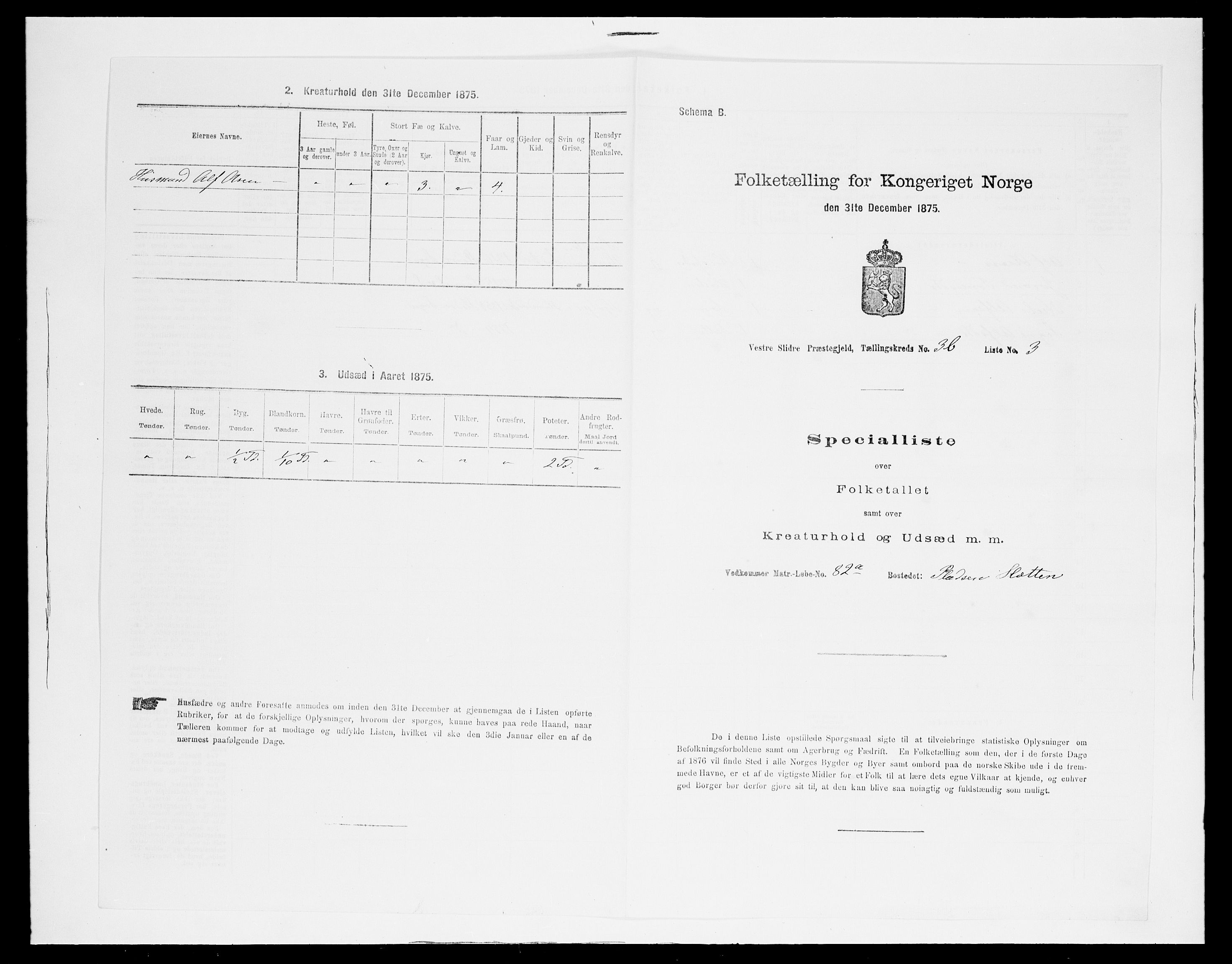 SAH, 1875 census for 0543P Vestre Slidre, 1875, p. 326