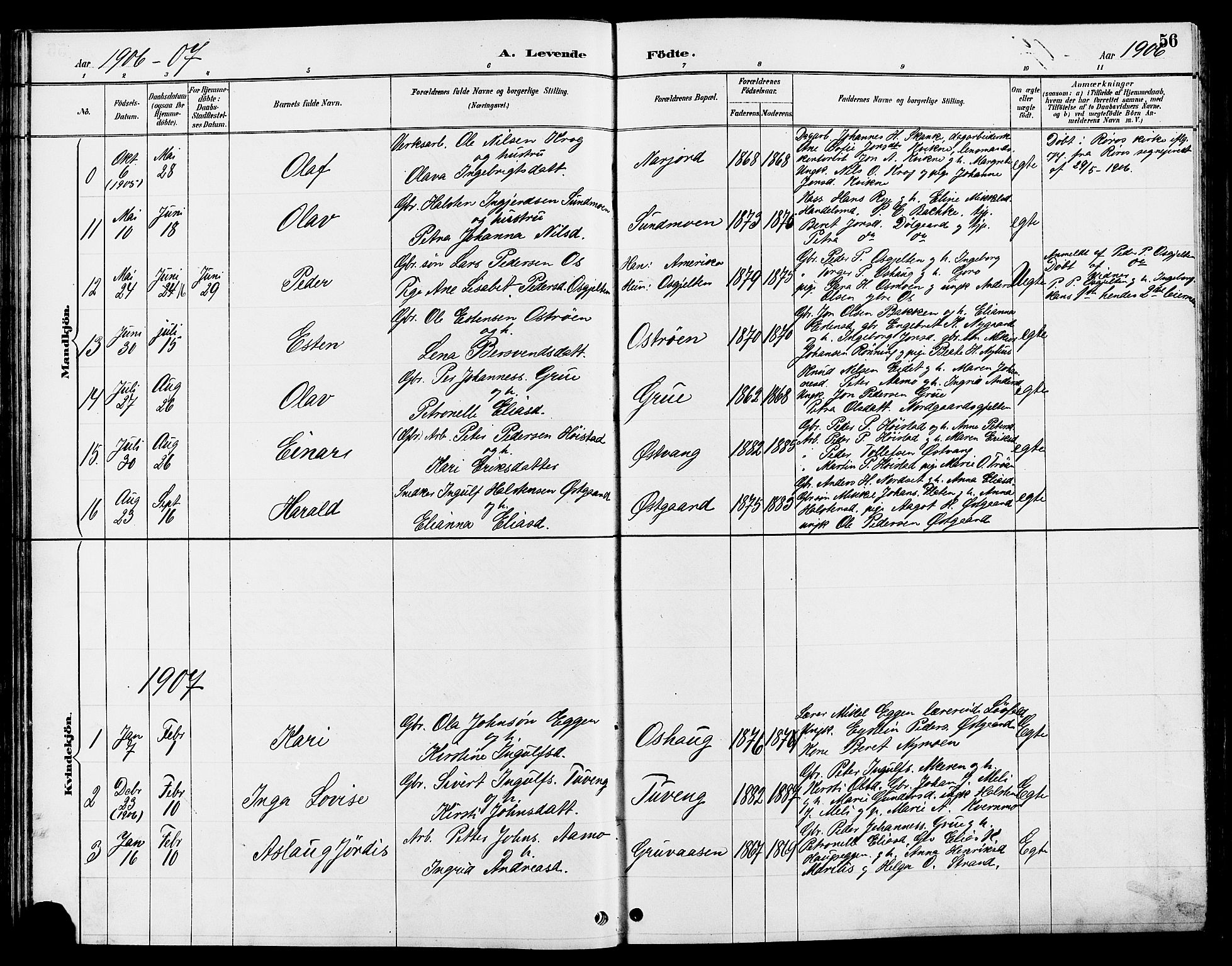 Tolga prestekontor, AV/SAH-PREST-062/L/L0008: Parish register (copy) no. 8, 1887-1912, p. 56