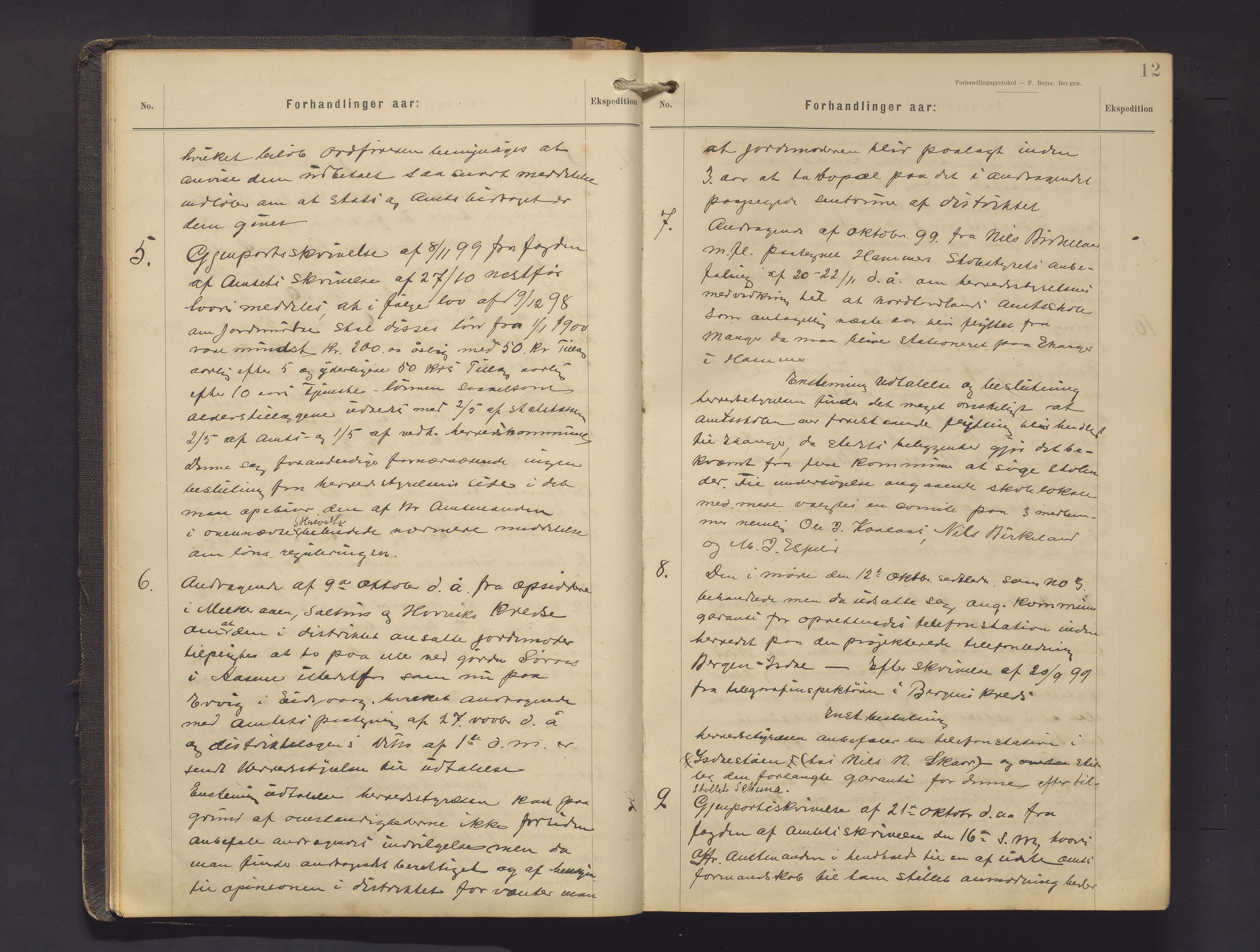 Hamre kommune. Formannskapet, IKAH/1254-021/A/Aa/L0005: Møtebok for formannskap, heradsstyre og soknestyra i Hamre og Åsane, 1899-1909, p. 12