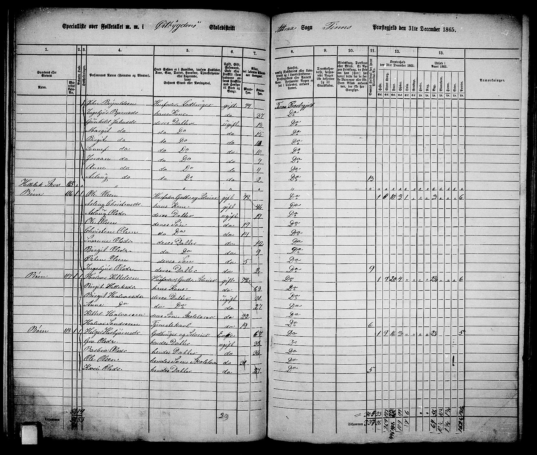 RA, 1865 census for Tinn, 1865, p. 19