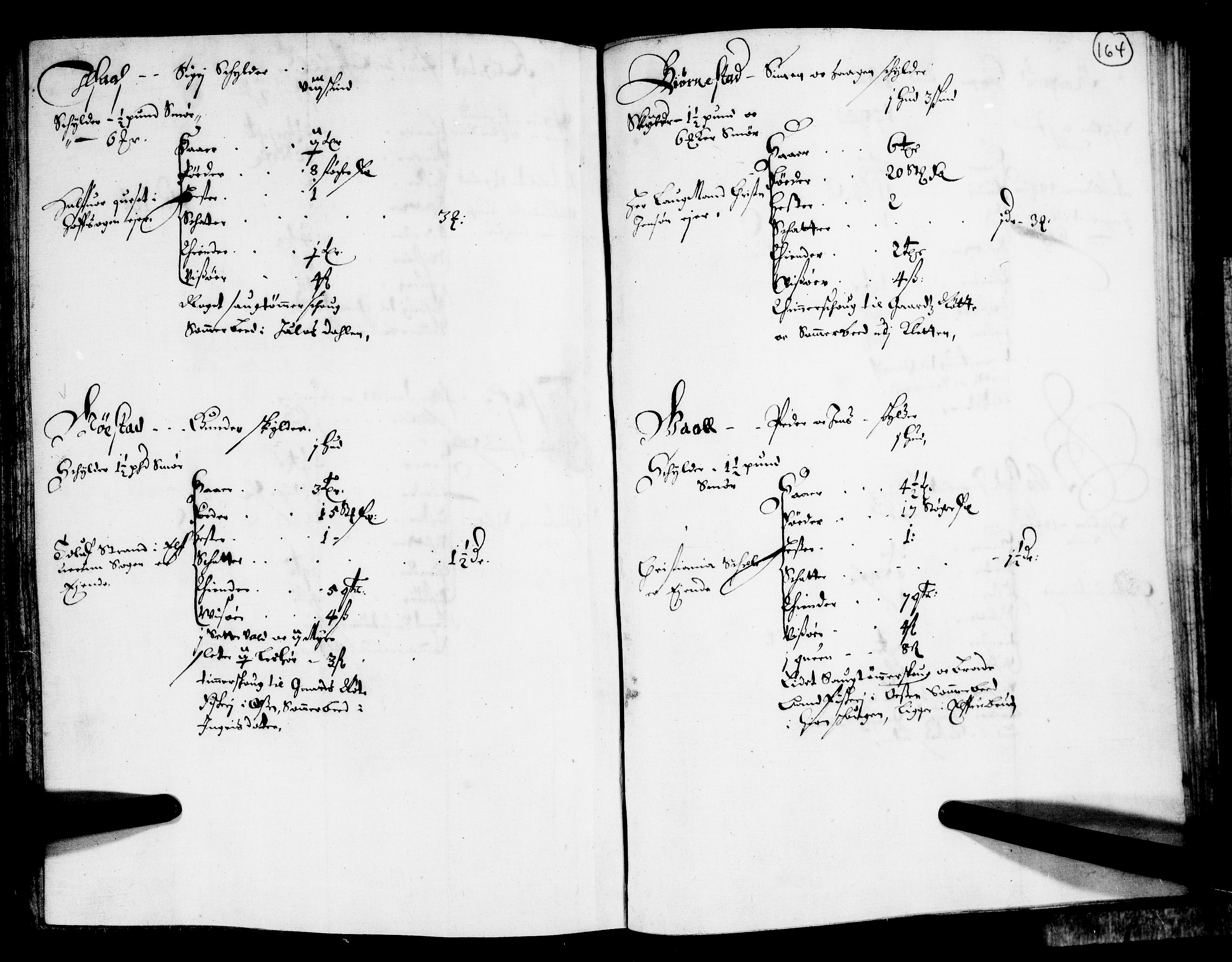 Rentekammeret inntil 1814, Realistisk ordnet avdeling, AV/RA-EA-4070/N/Nb/Nba/L0011: Odal, Solør og Østerdalen fogderi, 1667, p. 163b-164a