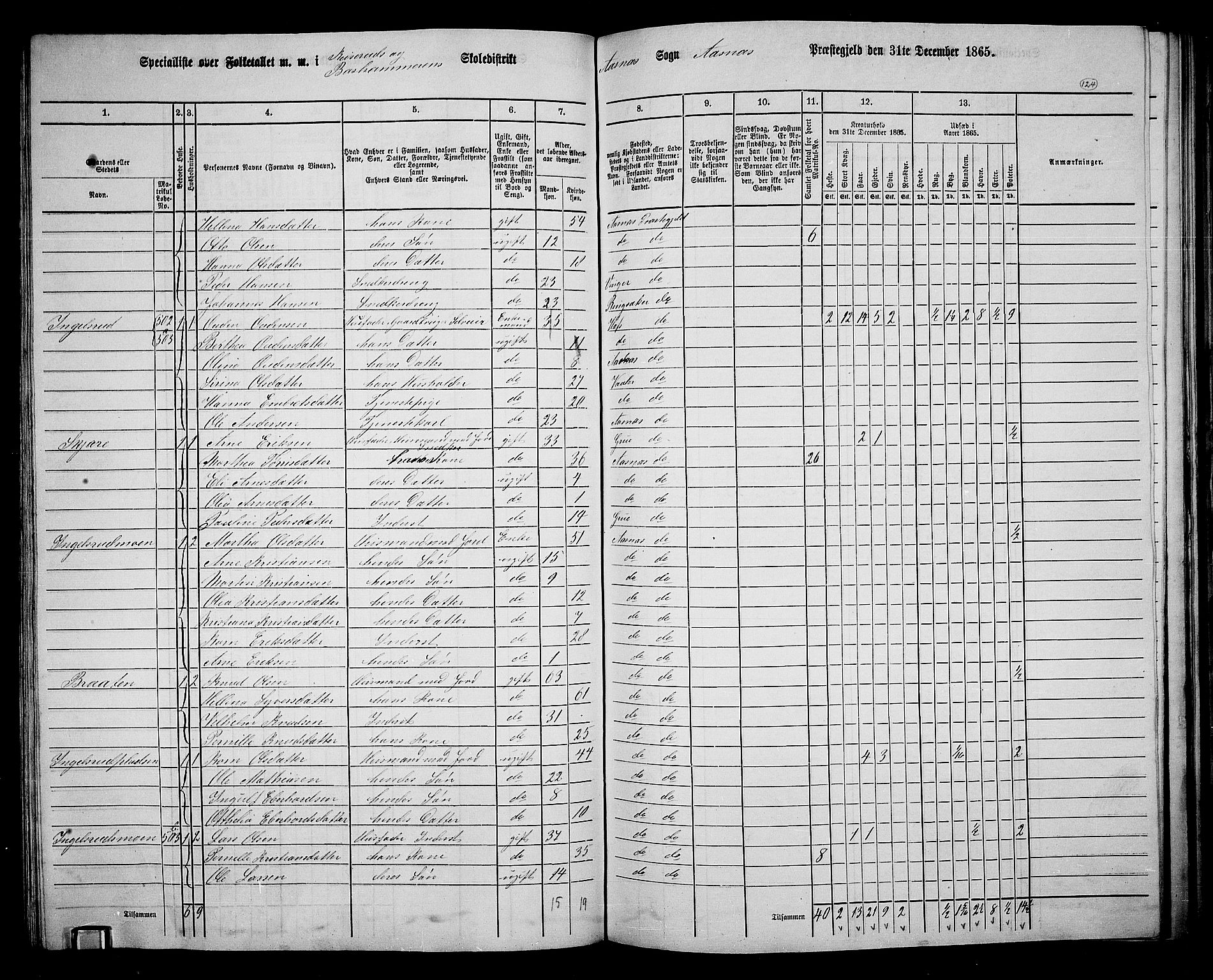 RA, 1865 census for Åsnes, 1865, p. 115