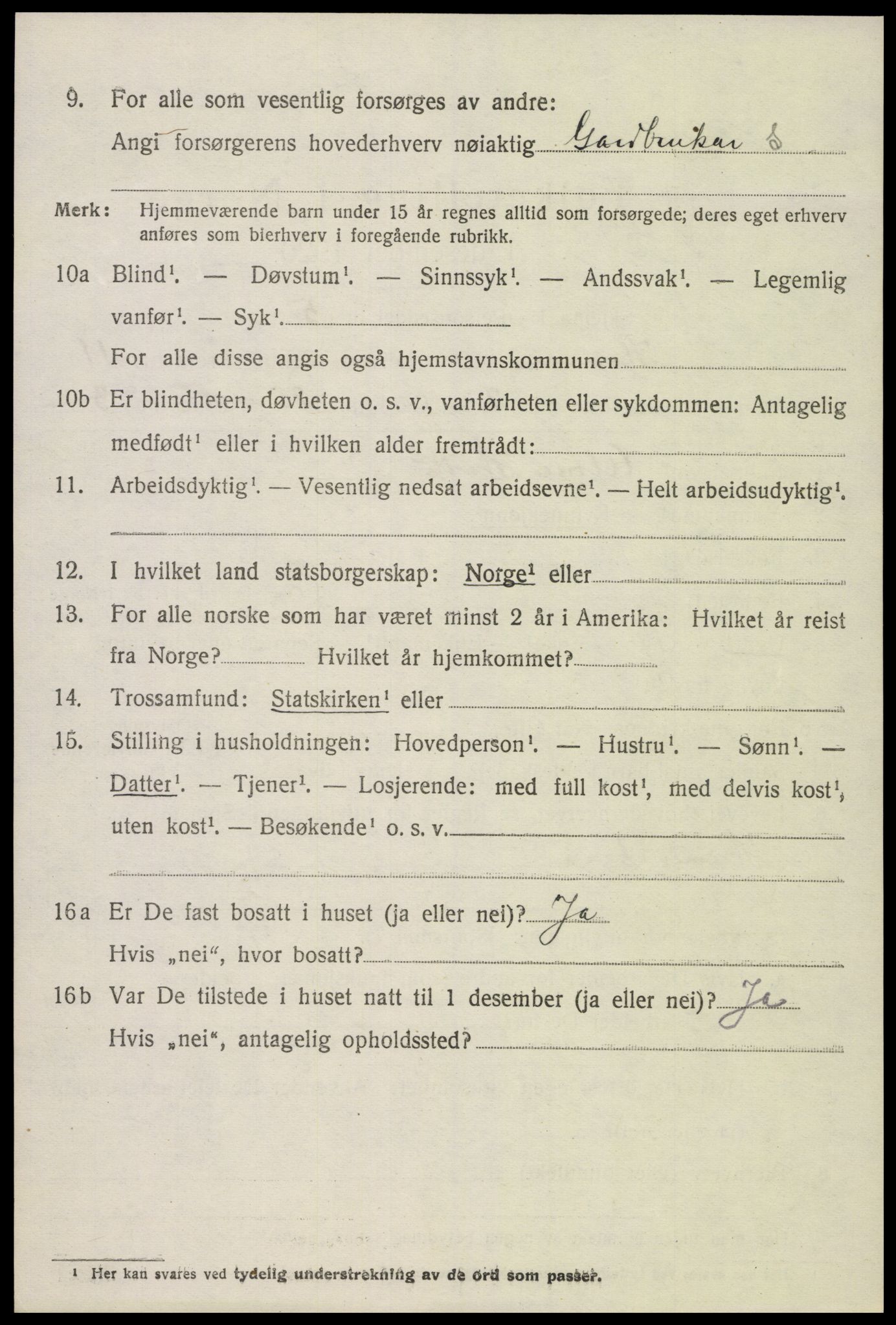 SAK, 1920 census for Hornnes, 1920, p. 2654