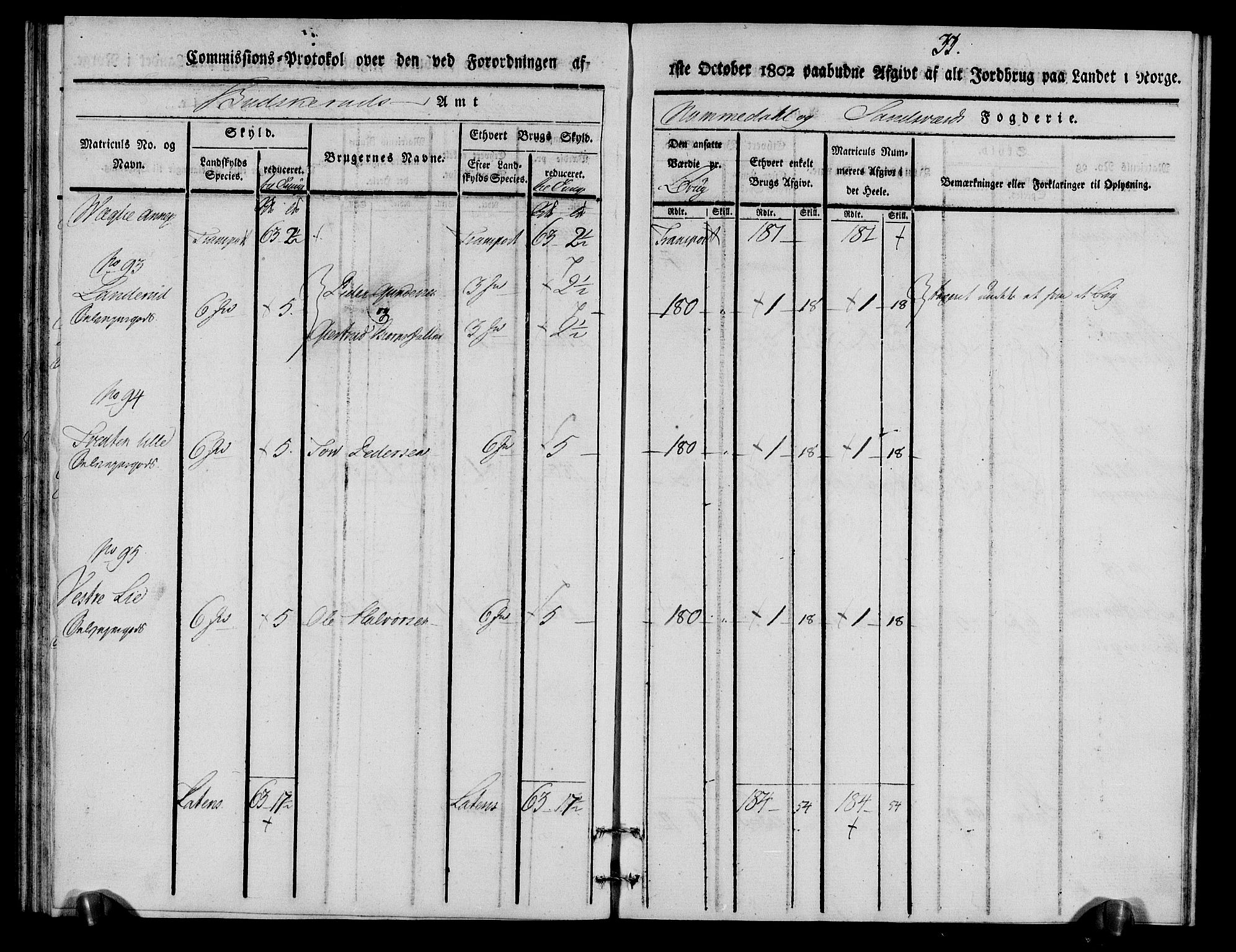 Rentekammeret inntil 1814, Realistisk ordnet avdeling, AV/RA-EA-4070/N/Ne/Nea/L0056a: Numedal og Sandsvær fogderi. Kommisjonsprotokoll for Rollag hovedsogn og Veggli anneks, 1803, p. 34