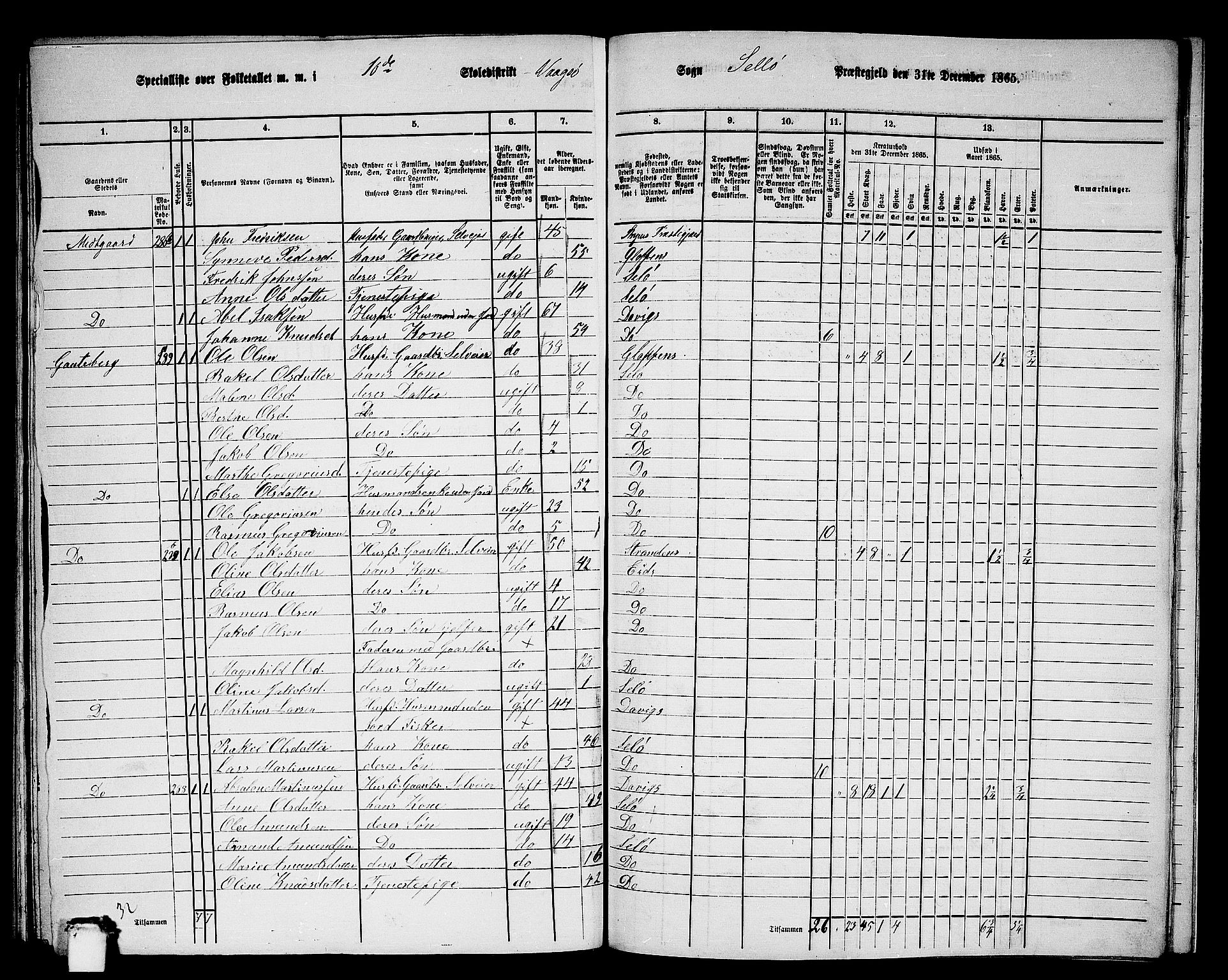 RA, 1865 census for Selje, 1865, p. 164