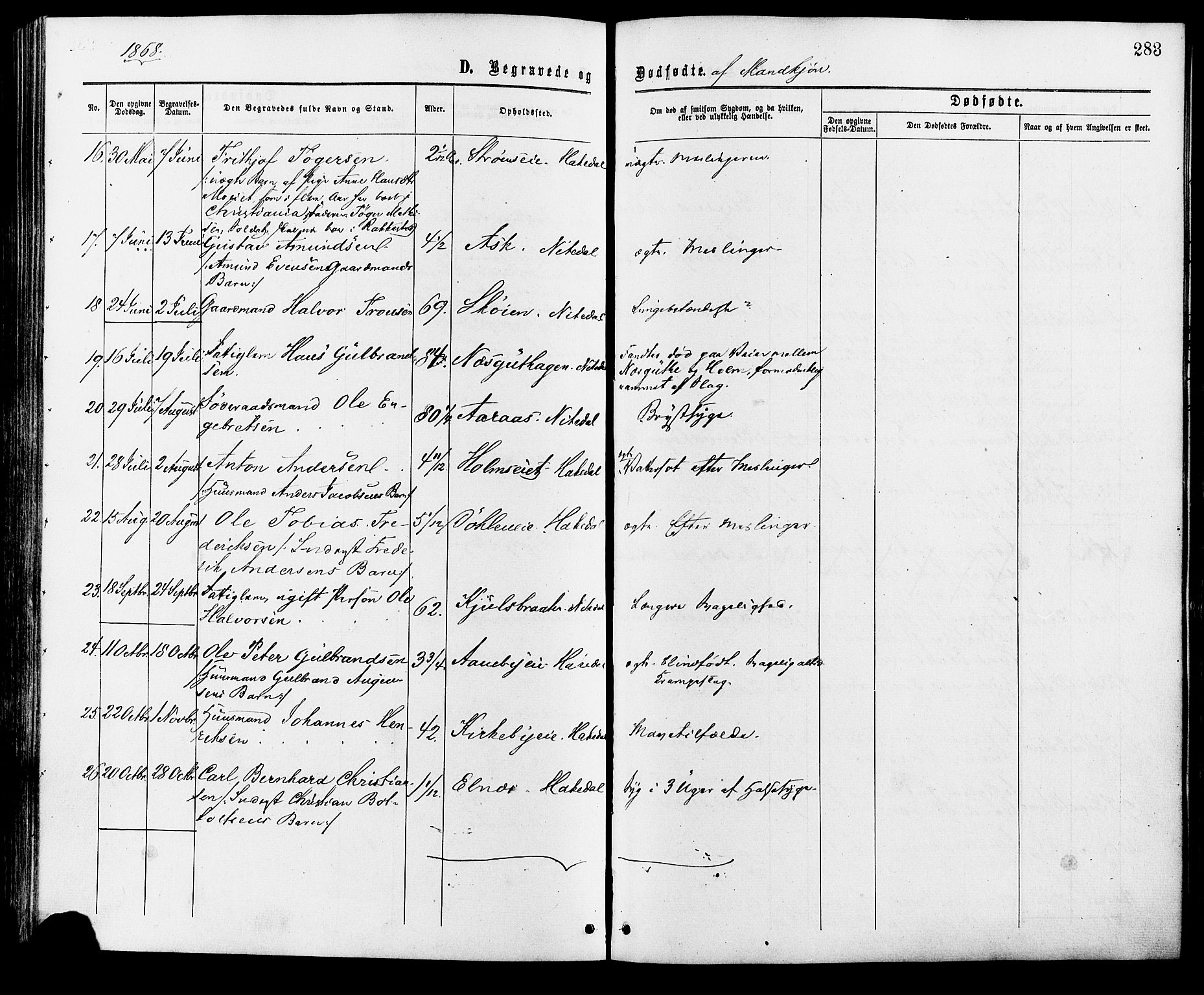 Nittedal prestekontor Kirkebøker, AV/SAO-A-10365a/F/Fa/L0006: Parish register (official) no. I 6, 1863-1878, p. 283