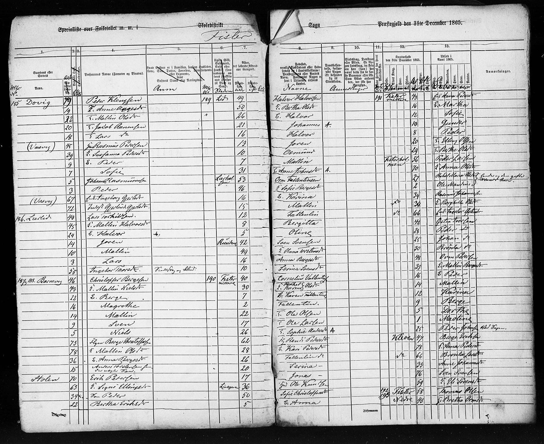 SAST, Census 1865 (copy) for Hjelmeland, 1865, p. 3