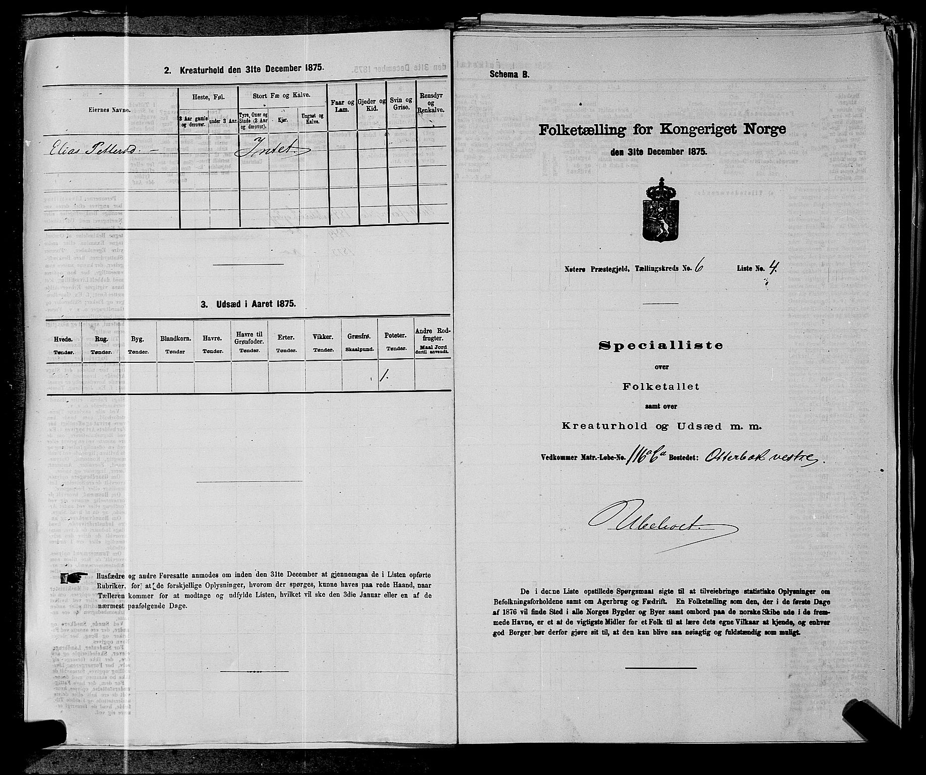 SAKO, 1875 census for 0722P Nøtterøy, 1875, p. 1156