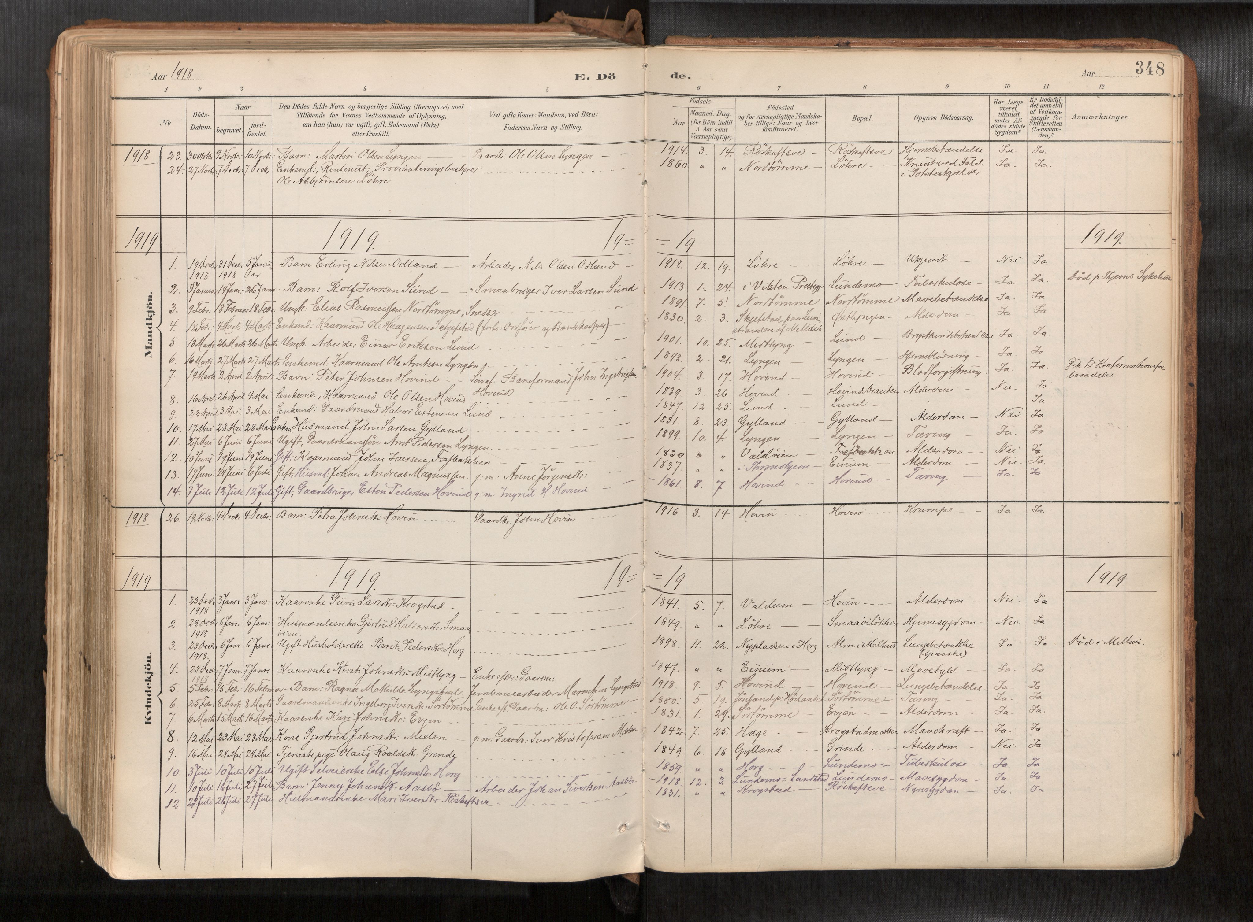 Ministerialprotokoller, klokkerbøker og fødselsregistre - Sør-Trøndelag, SAT/A-1456/692/L1105b: Parish register (official) no. 692A06, 1891-1934, p. 348