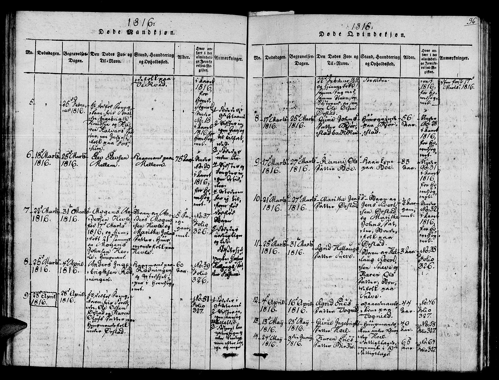 Ministerialprotokoller, klokkerbøker og fødselsregistre - Sør-Trøndelag, SAT/A-1456/678/L0895: Parish register (official) no. 678A05 /1, 1816-1821, p. 96