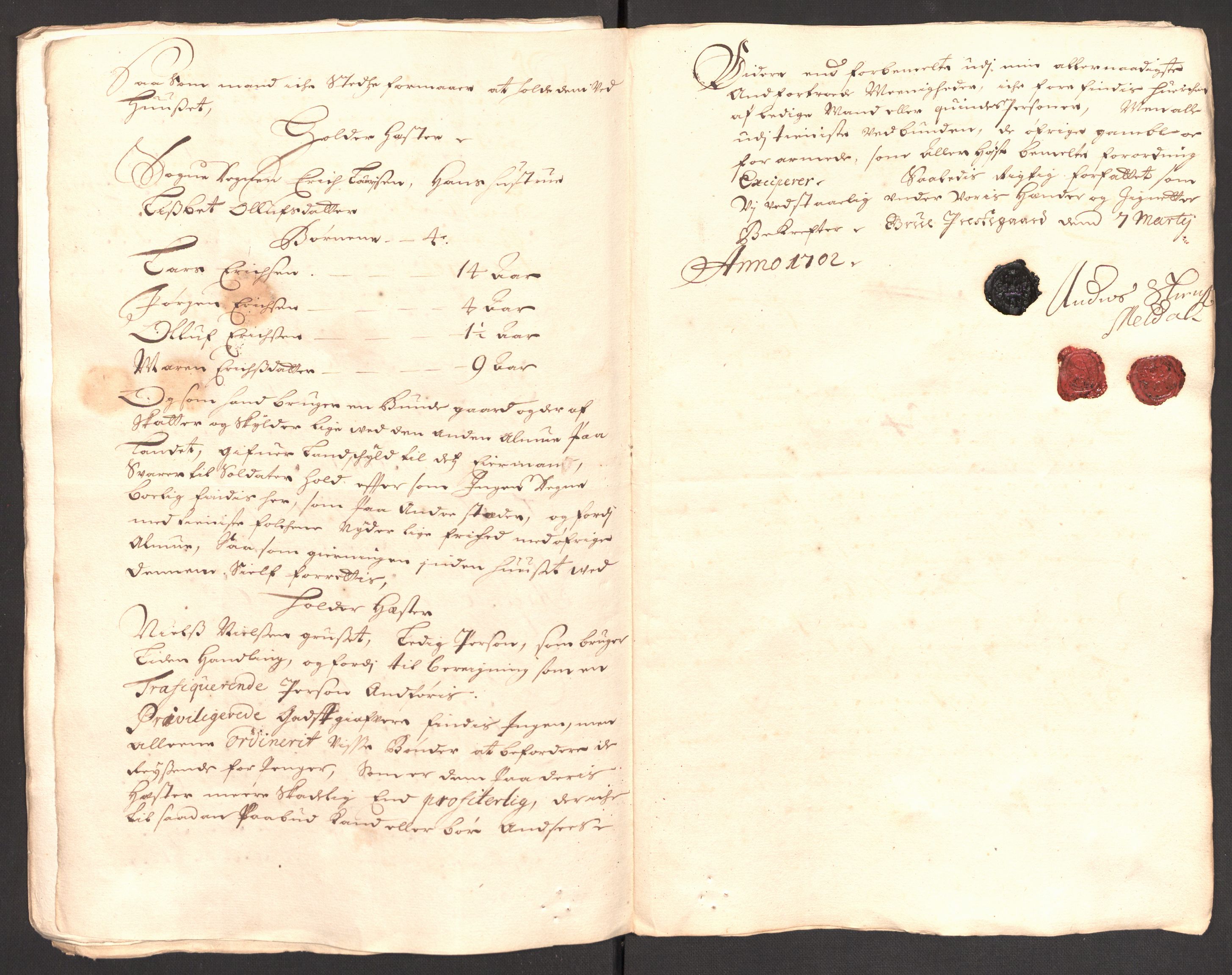 Rentekammeret inntil 1814, Reviderte regnskaper, Fogderegnskap, AV/RA-EA-4092/R13/L0840: Fogderegnskap Solør, Odal og Østerdal, 1702, p. 204