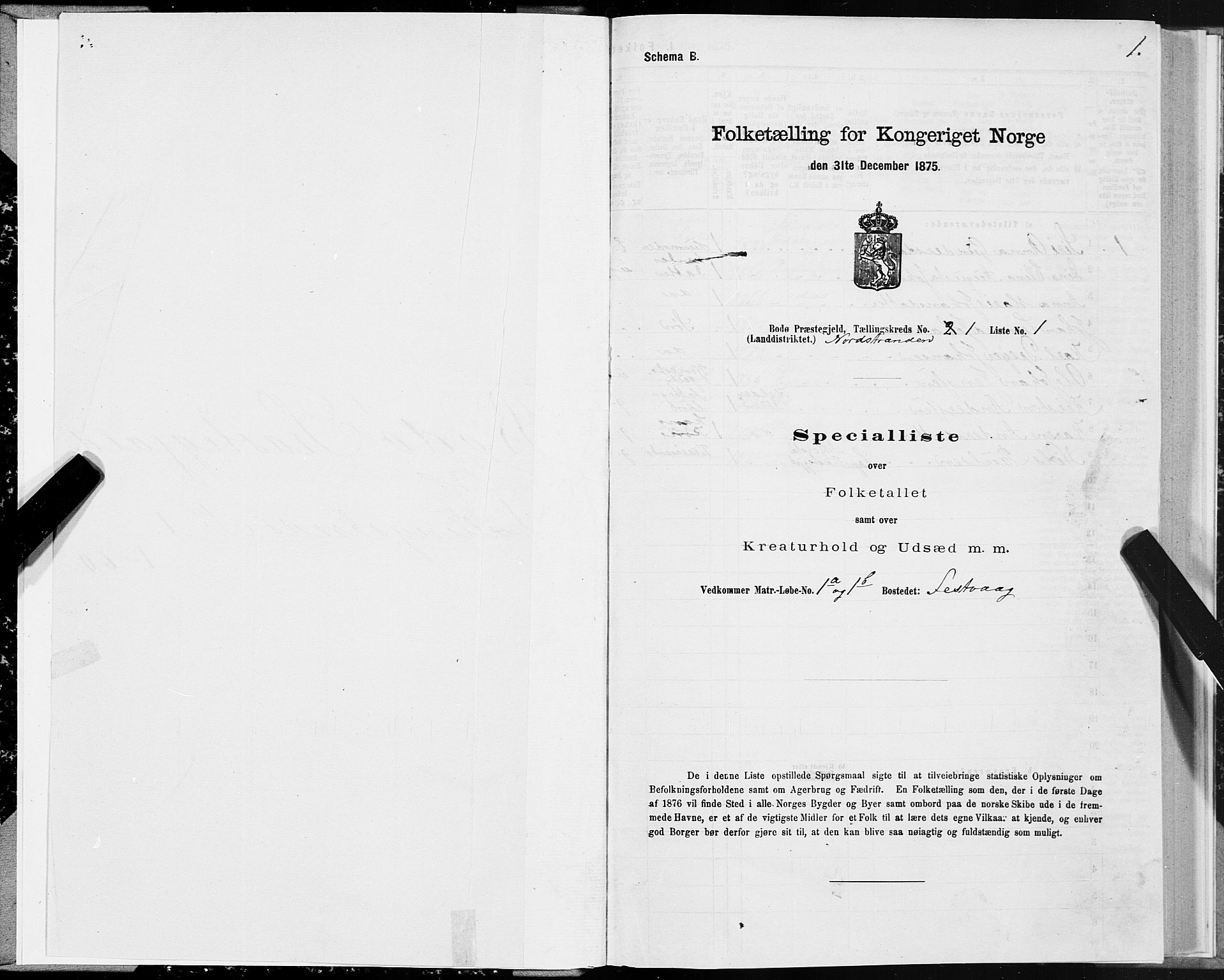 SAT, 1875 census for 1843L Bodø/Bodø, 1875, p. 1001