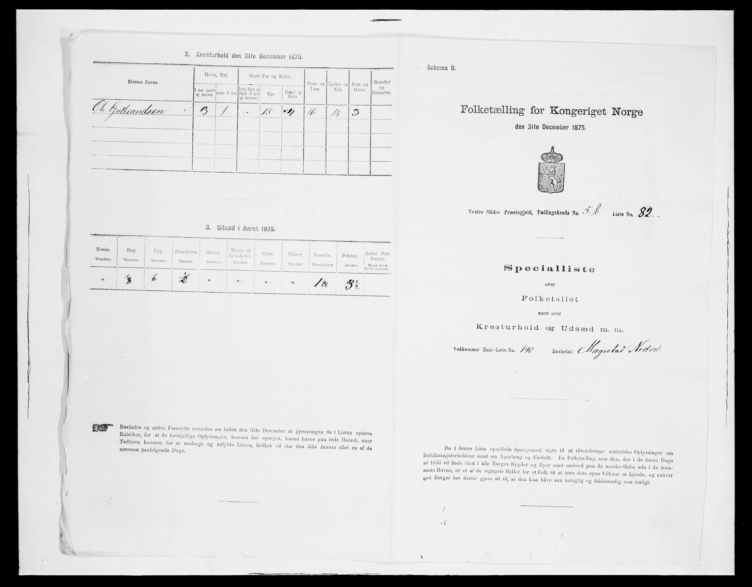 SAH, 1875 census for 0543P Vestre Slidre, 1875, p. 702