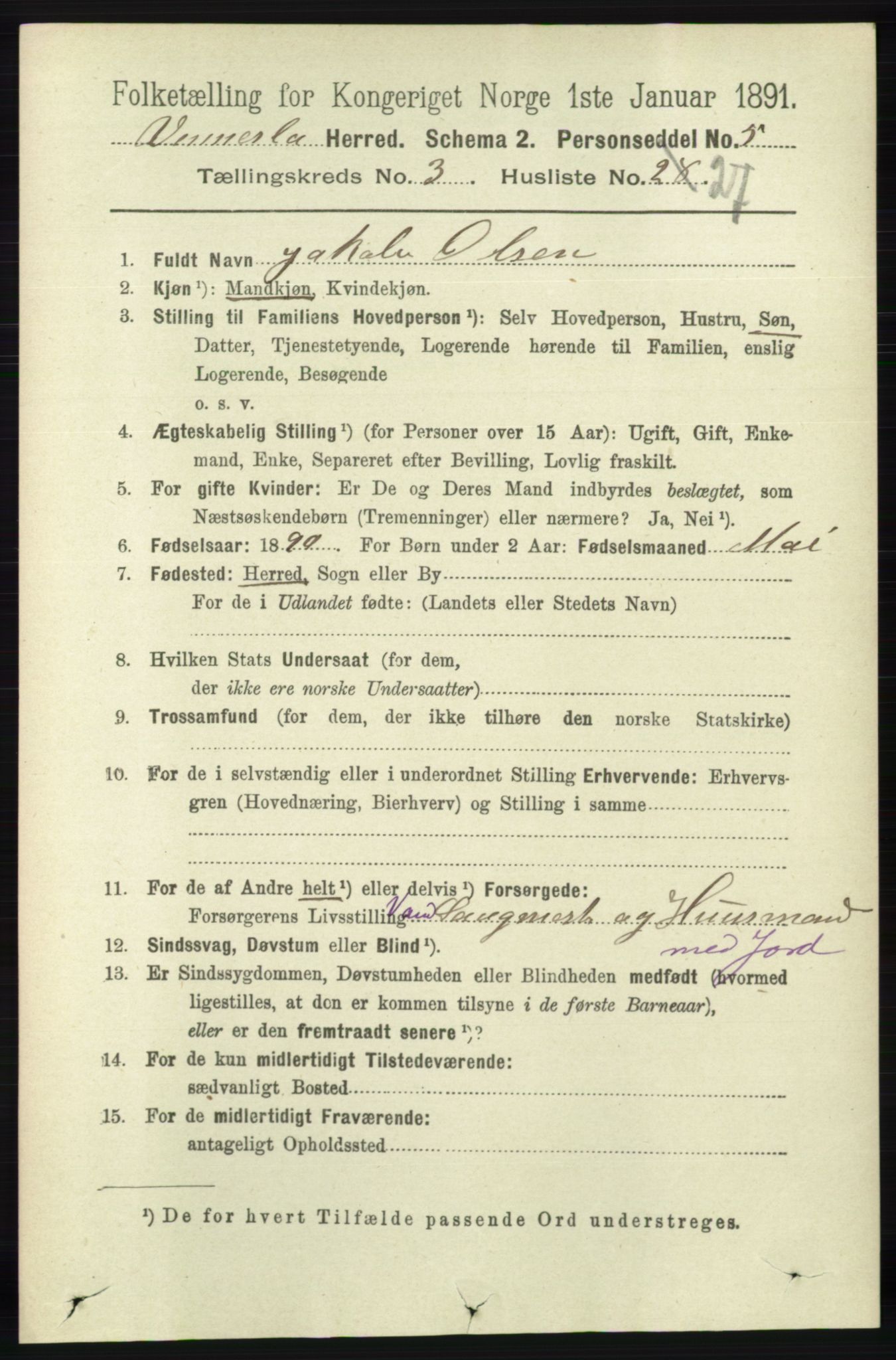 RA, 1891 census for 1014 Vennesla, 1891, p. 811