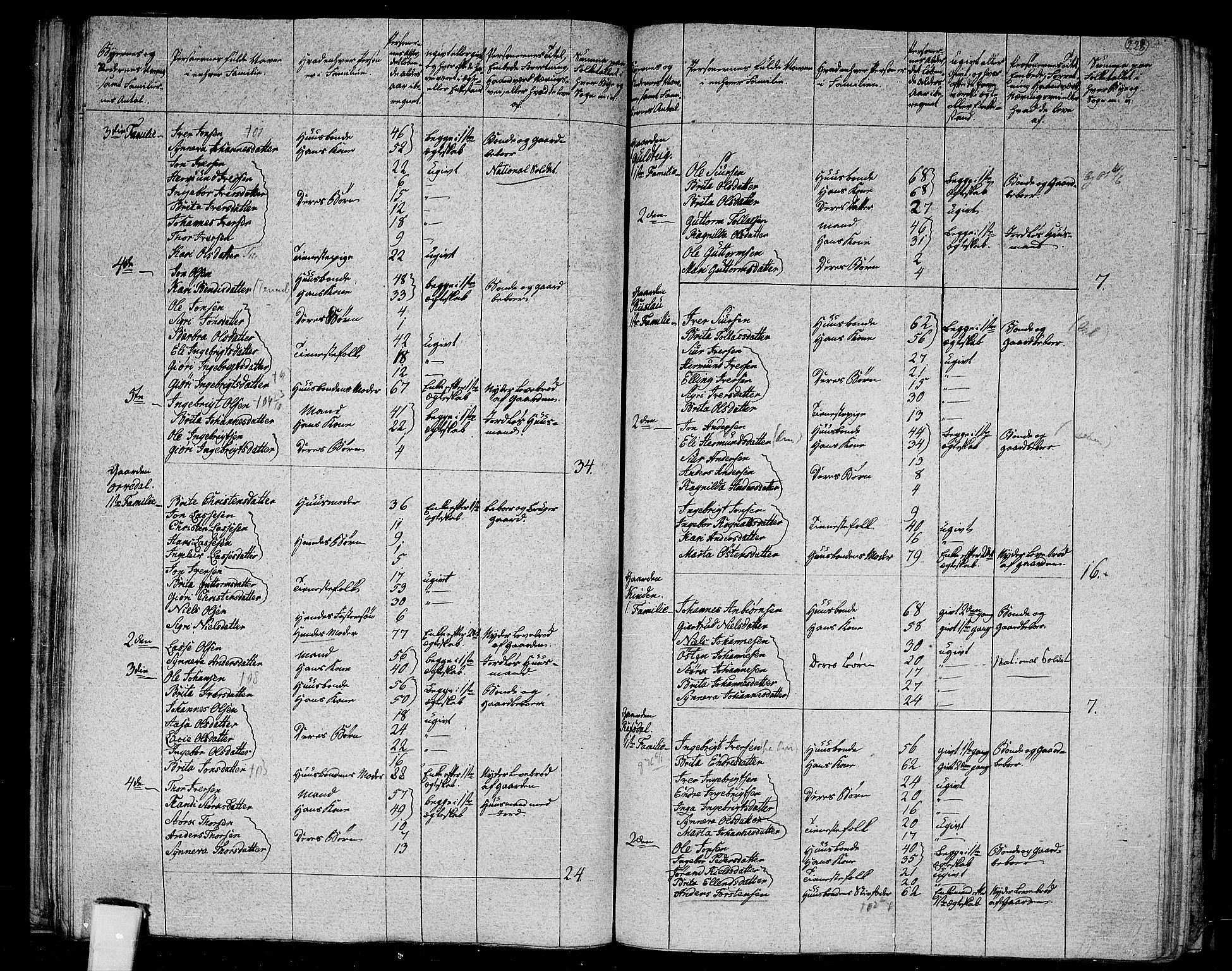 RA, 1801 census for 1417P Vik, 1801, p. 227b-228a