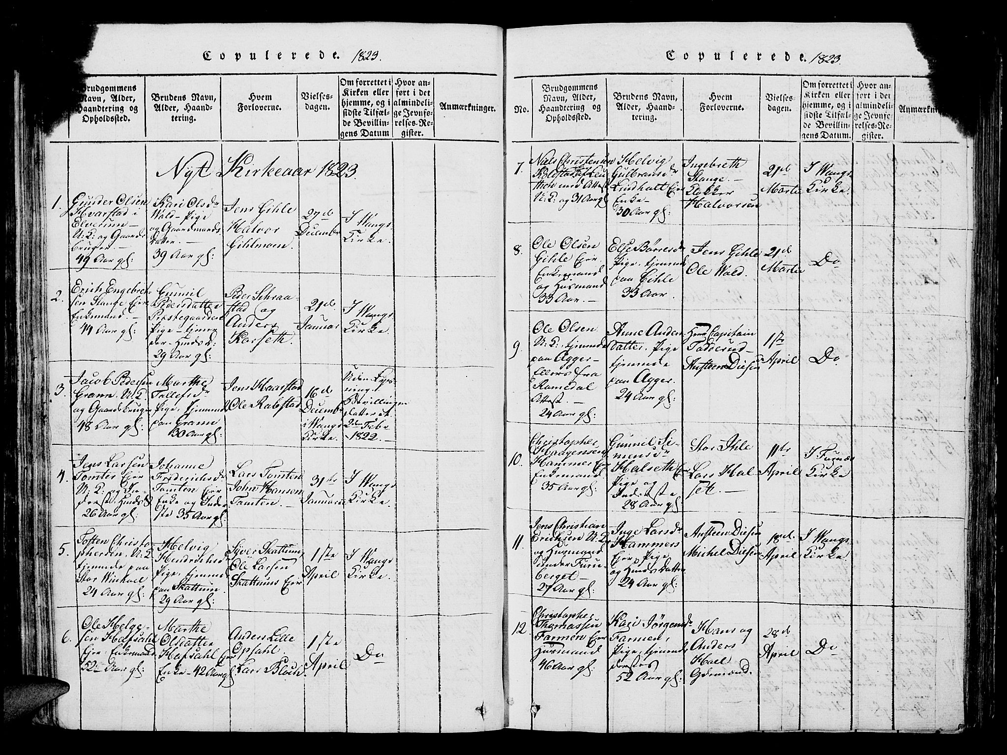 Vang prestekontor, Hedmark, SAH/PREST-008/H/Ha/Hab/L0004: Parish register (copy) no. 4, 1813-1827, p. 461-462