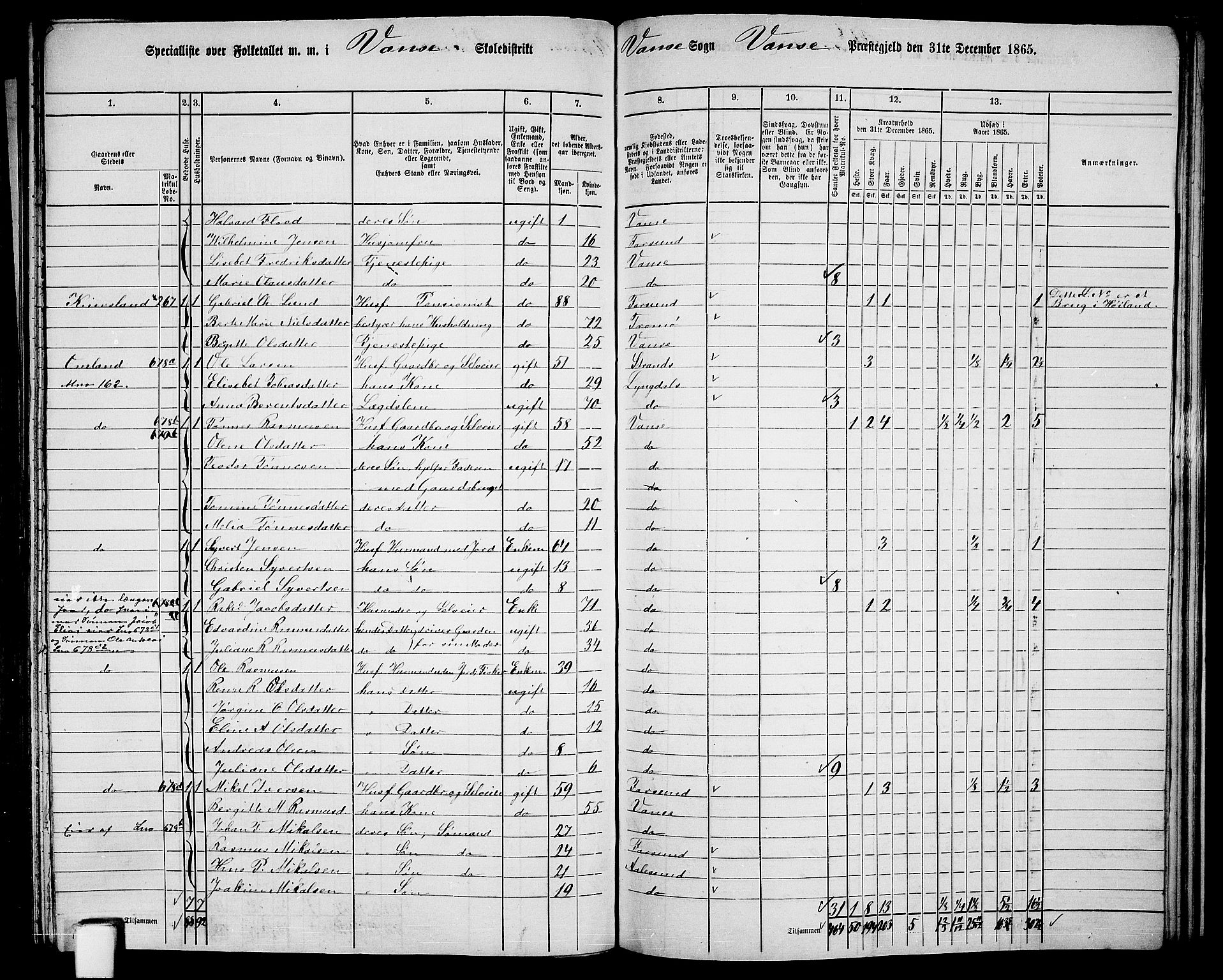 RA, 1865 census for Vanse/Vanse og Farsund, 1865, p. 236
