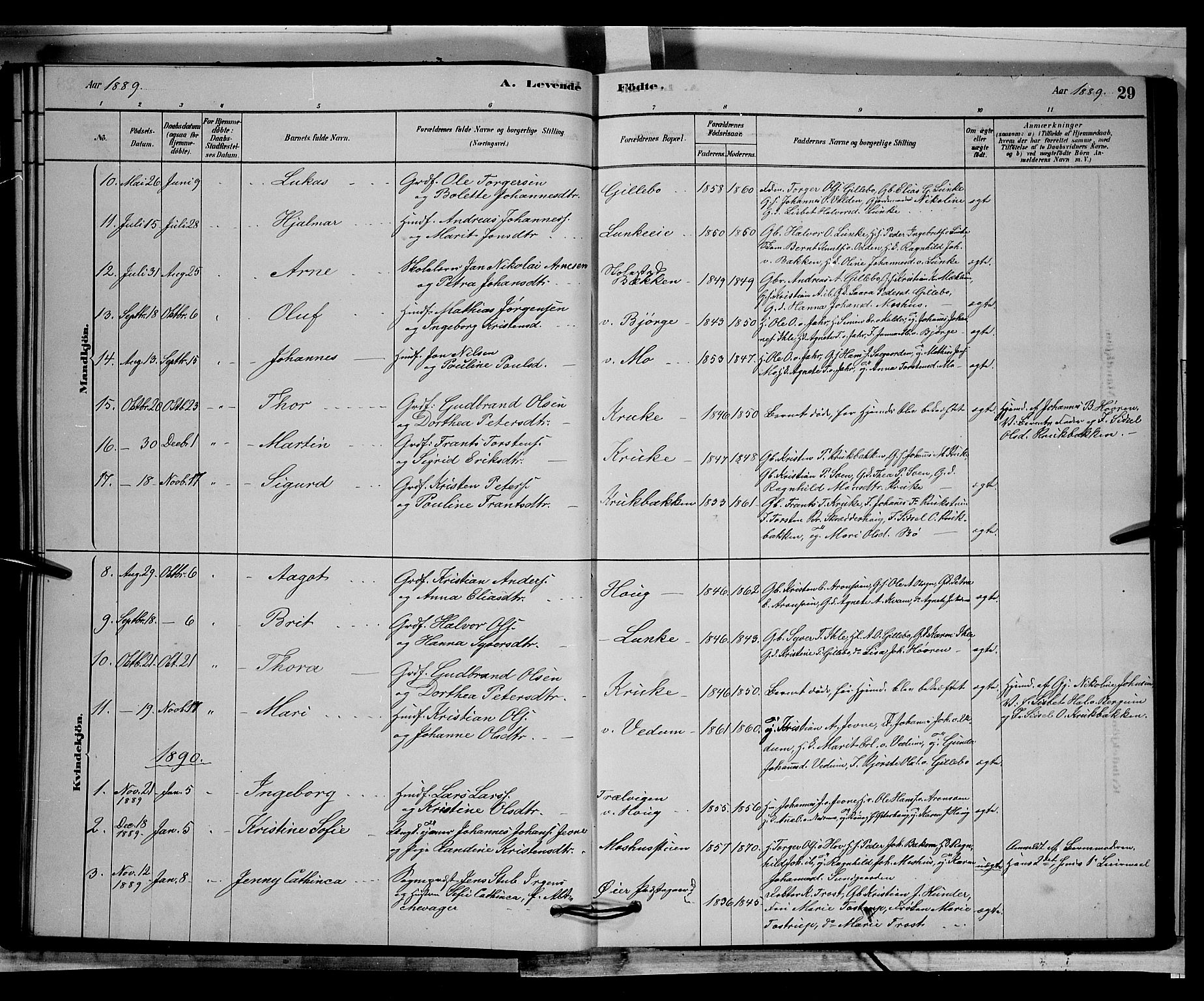 Øyer prestekontor, AV/SAH-PREST-084/H/Ha/Hab/L0002: Parish register (copy) no. 2, 1878-1896, p. 29