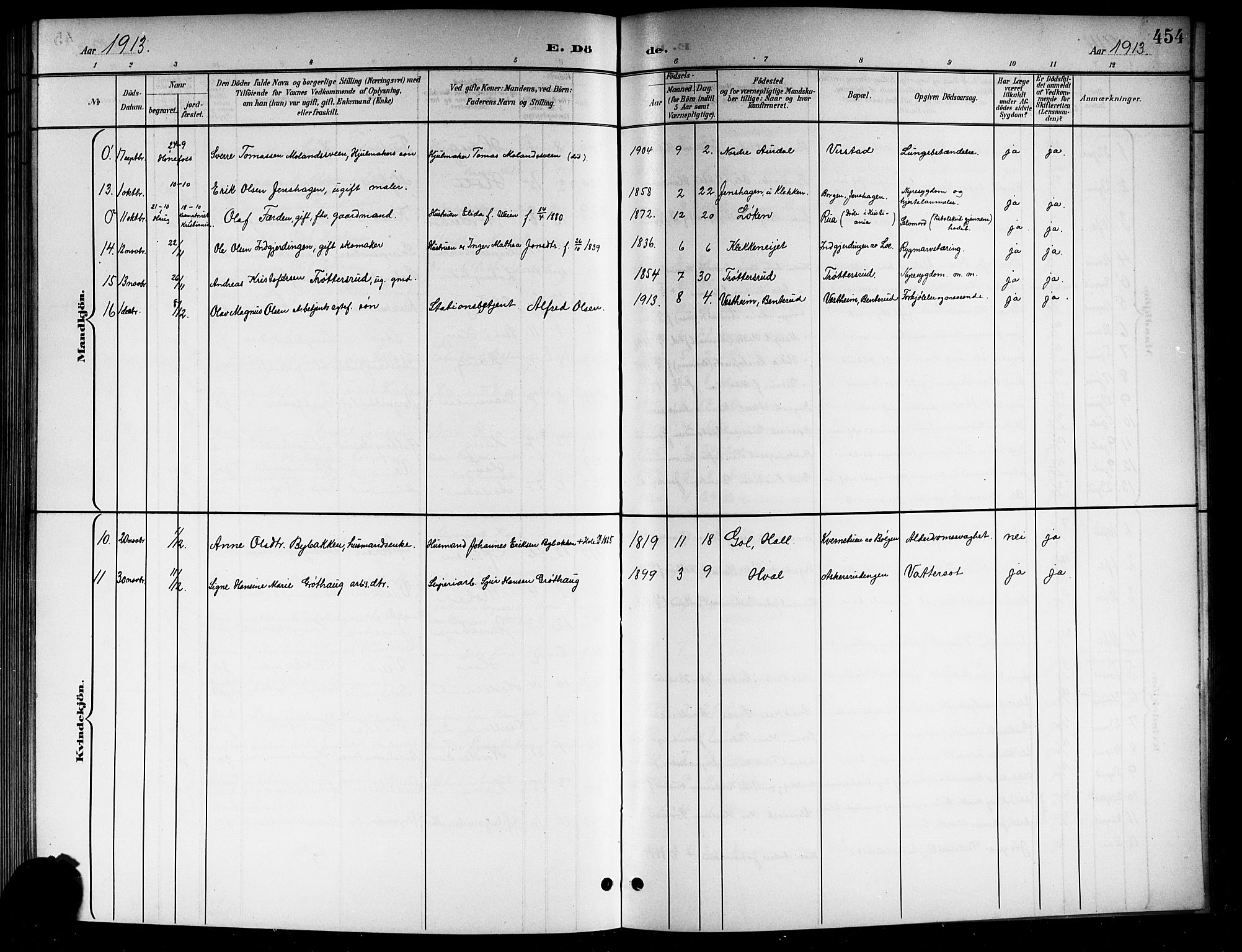 Norderhov kirkebøker, AV/SAKO-A-237/G/Gb/L0002: Parish register (copy) no. II 2, 1891-1921, p. 454