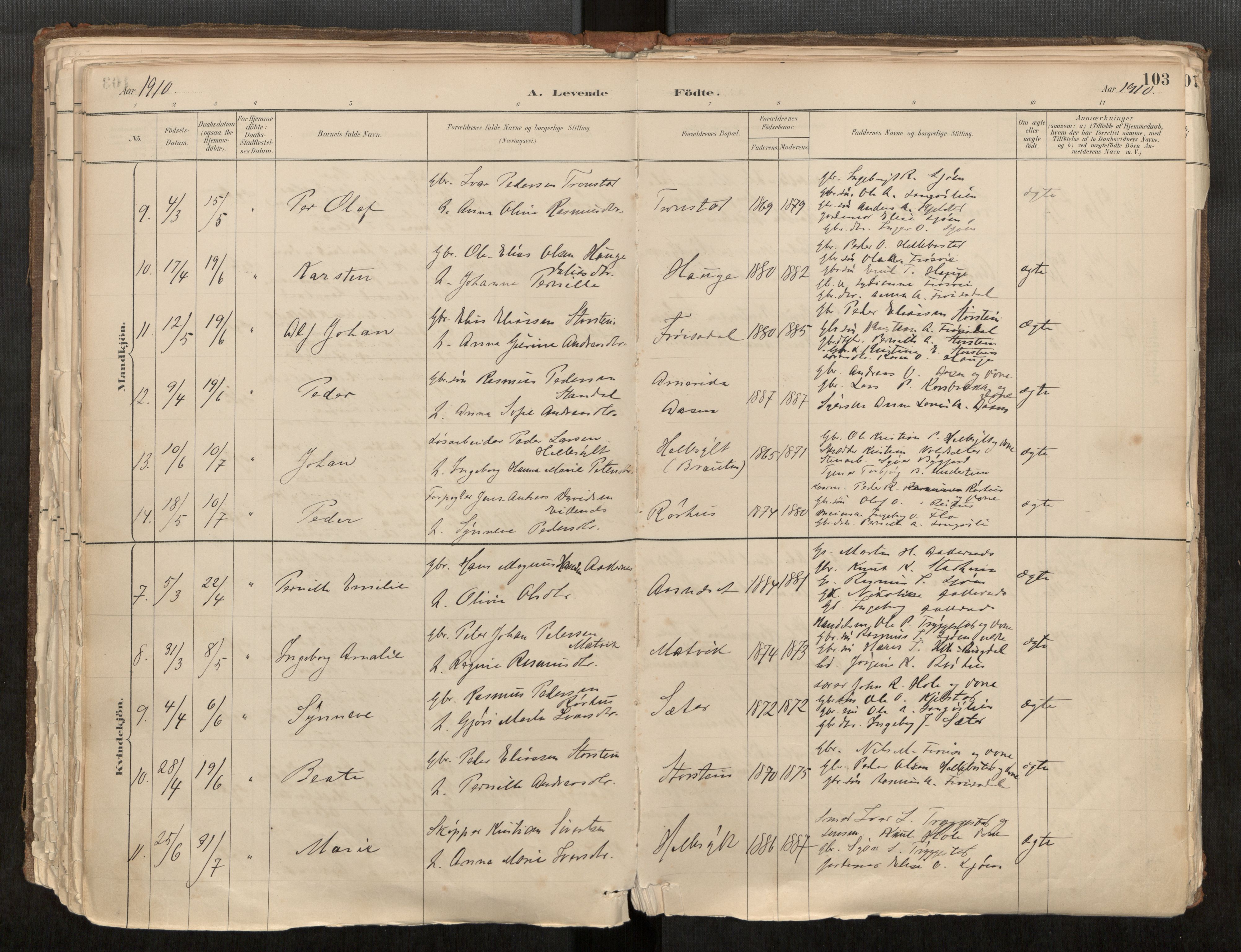 Sunnylven sokneprestkontor, AV/SAT-A-1007: Parish register (official) no. 517A08, 1882-1939, p. 103