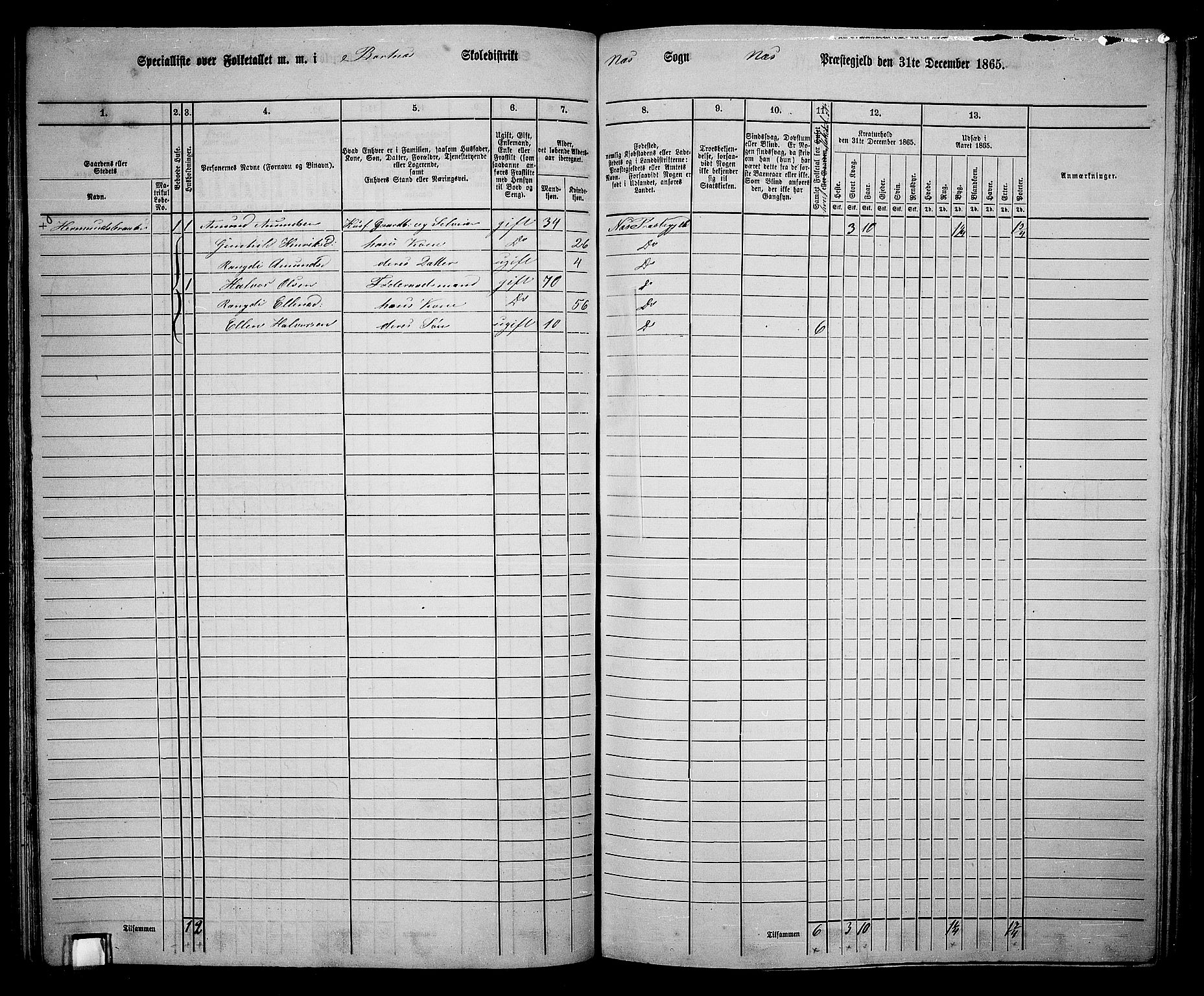 RA, 1865 census for Nes, 1865, p. 115