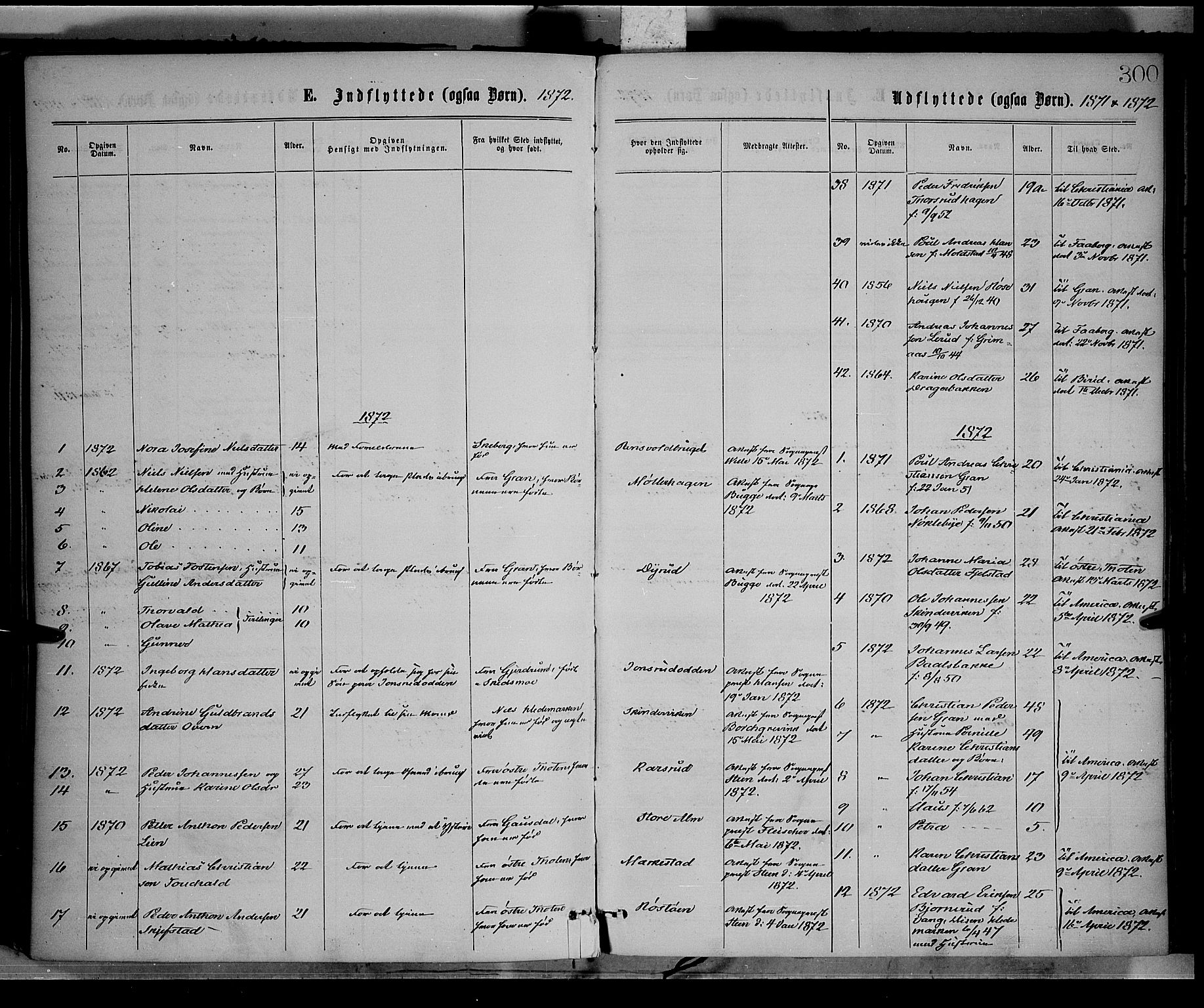 Vestre Toten prestekontor, SAH/PREST-108/H/Ha/Haa/L0008: Parish register (official) no. 8, 1870-1877, p. 300
