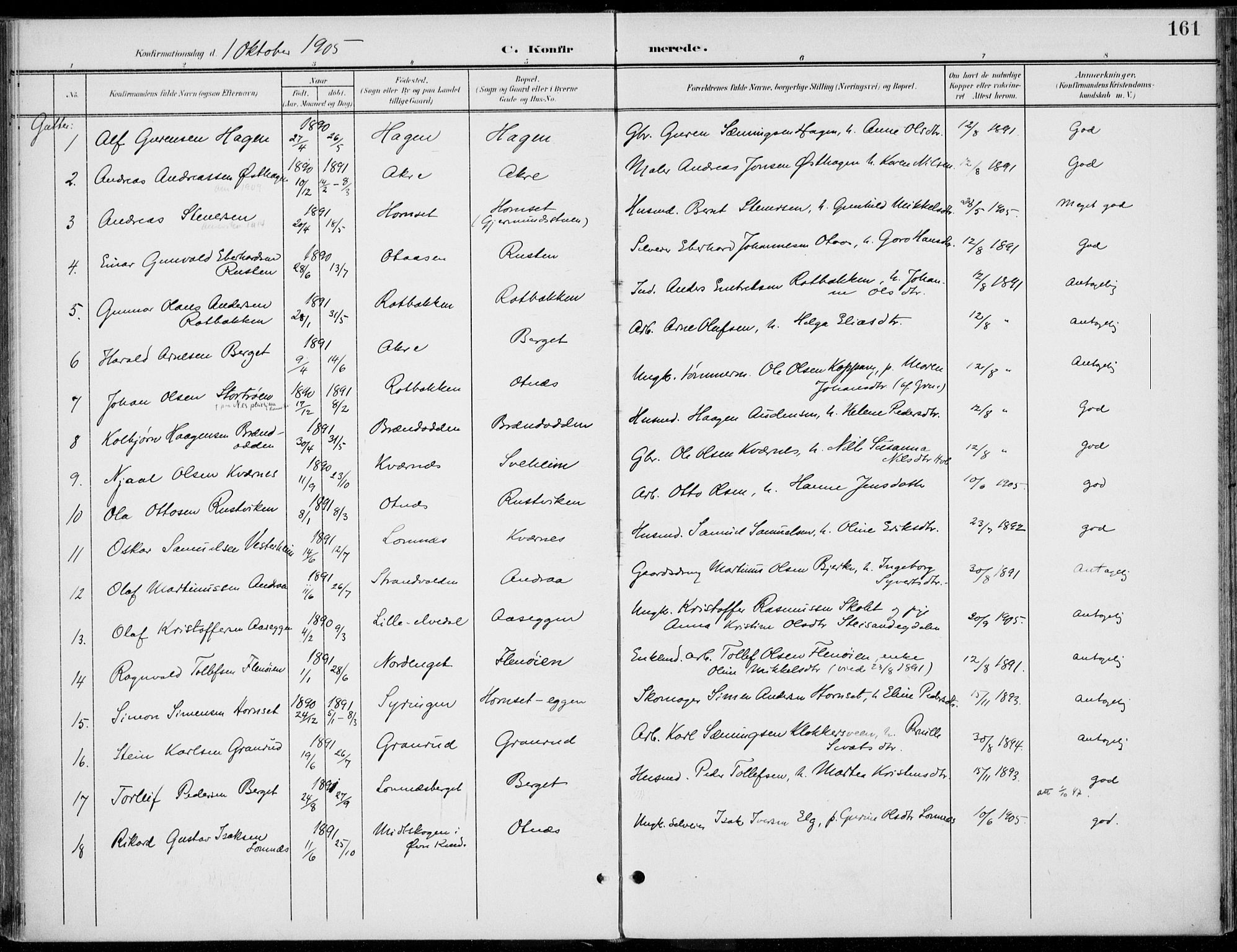 Rendalen prestekontor, SAH/PREST-054/H/Ha/Haa/L0011: Parish register (official) no. 11, 1901-1925, p. 161