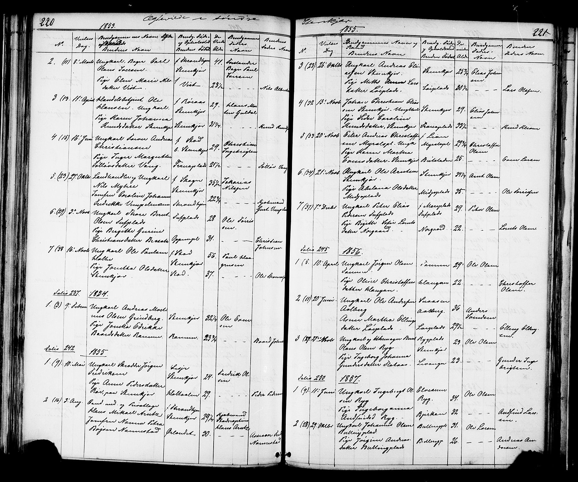 Ministerialprotokoller, klokkerbøker og fødselsregistre - Nord-Trøndelag, SAT/A-1458/739/L0367: Parish register (official) no. 739A01 /1, 1838-1868, p. 220-221