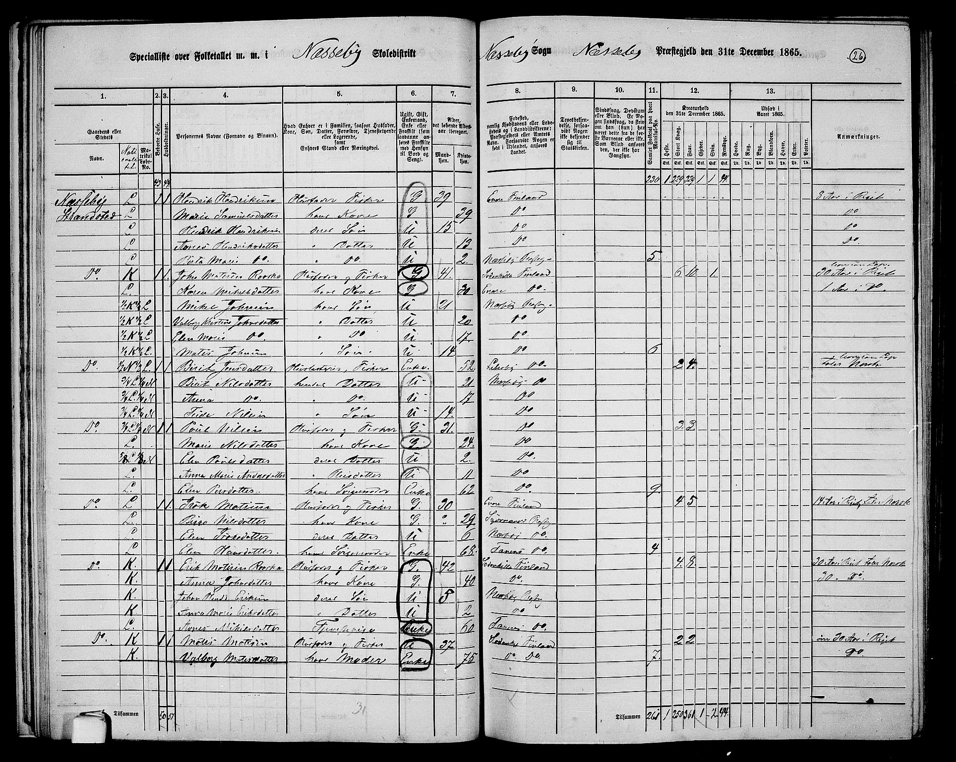 RA, 1865 census for Nesseby, 1865, p. 22