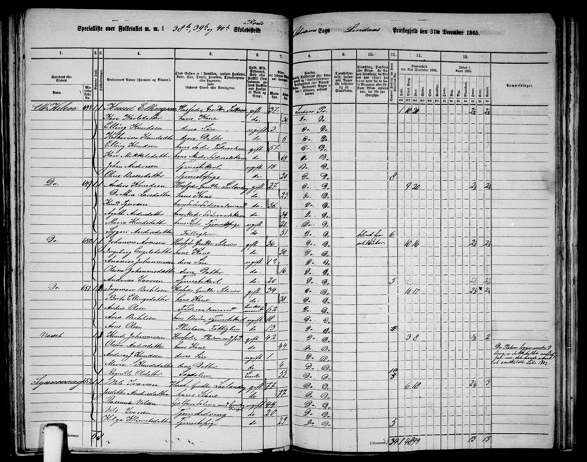 RA, 1865 census for Lindås, 1865, p. 243