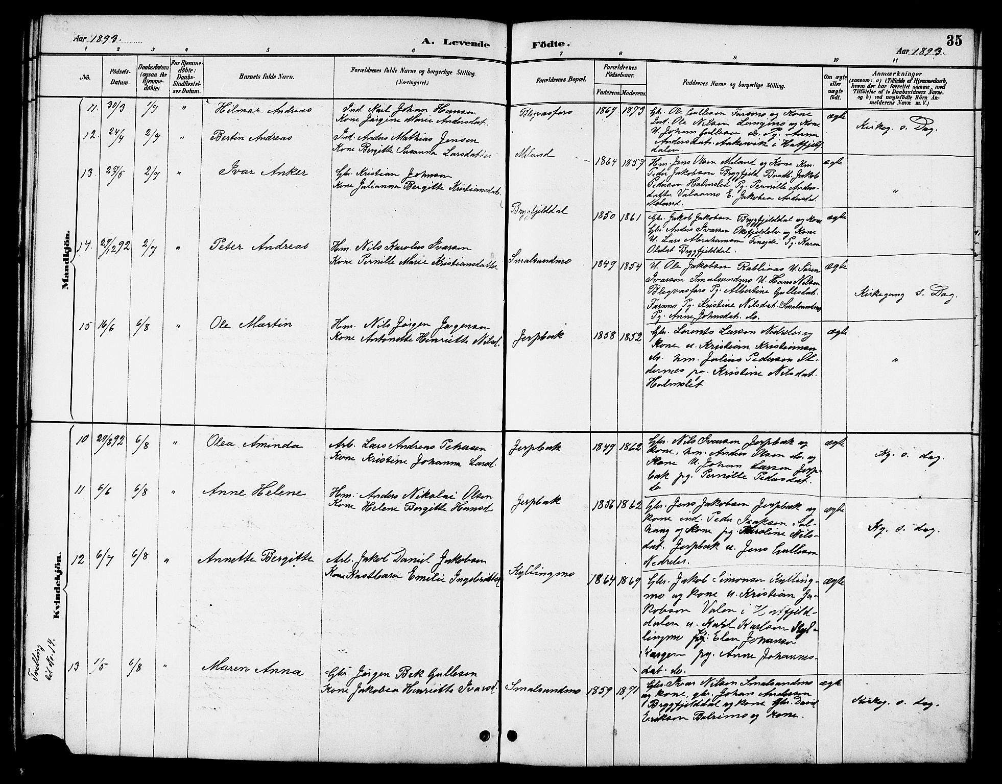 Ministerialprotokoller, klokkerbøker og fødselsregistre - Nordland, AV/SAT-A-1459/826/L0383: Parish register (copy) no. 826C03, 1887-1896, p. 35