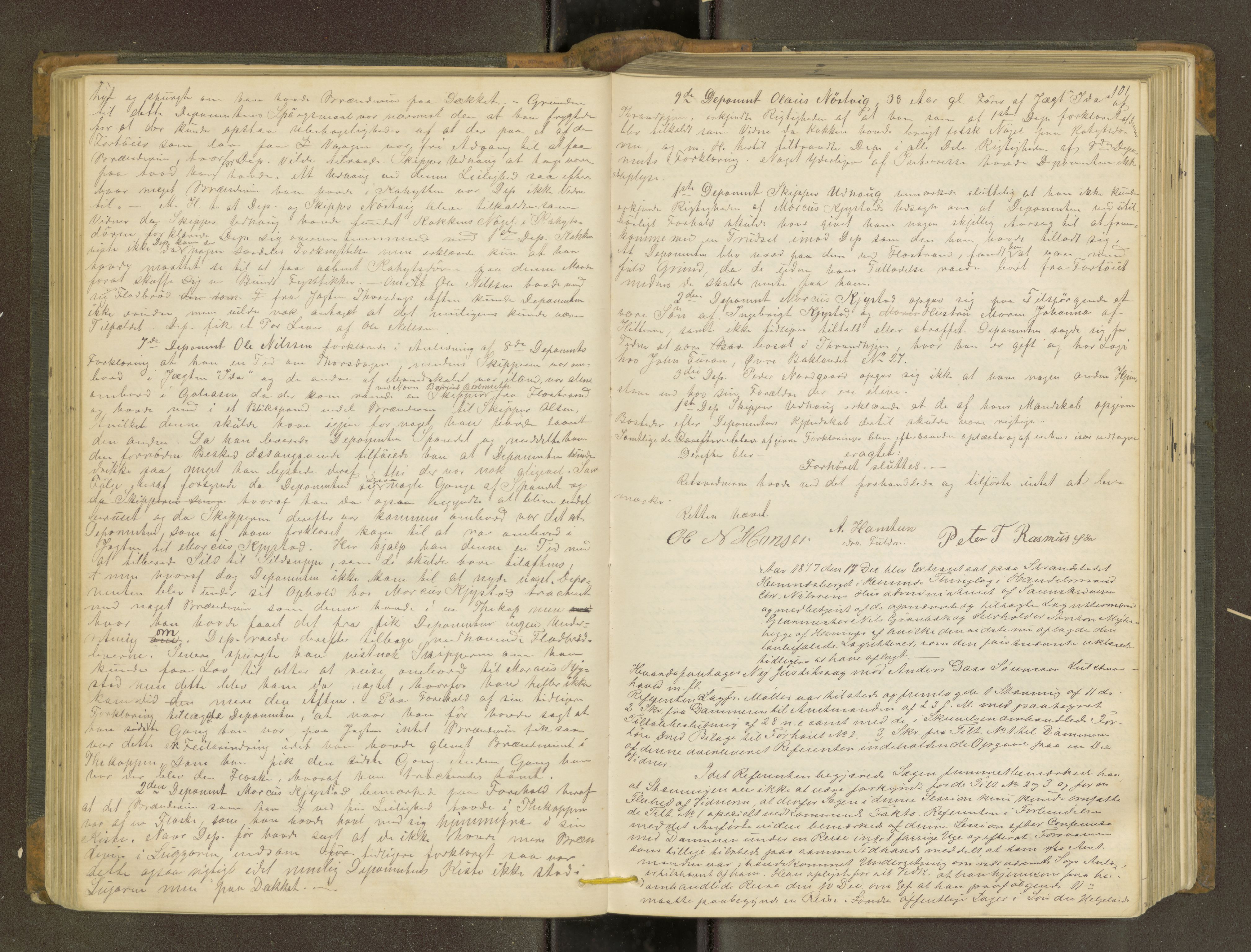 Rana sorenskriveri , AV/SAT-A-1108/1/1/1B/L0011: Ekstrarettsprotokoll, 1876-1885, p. 100b-101a