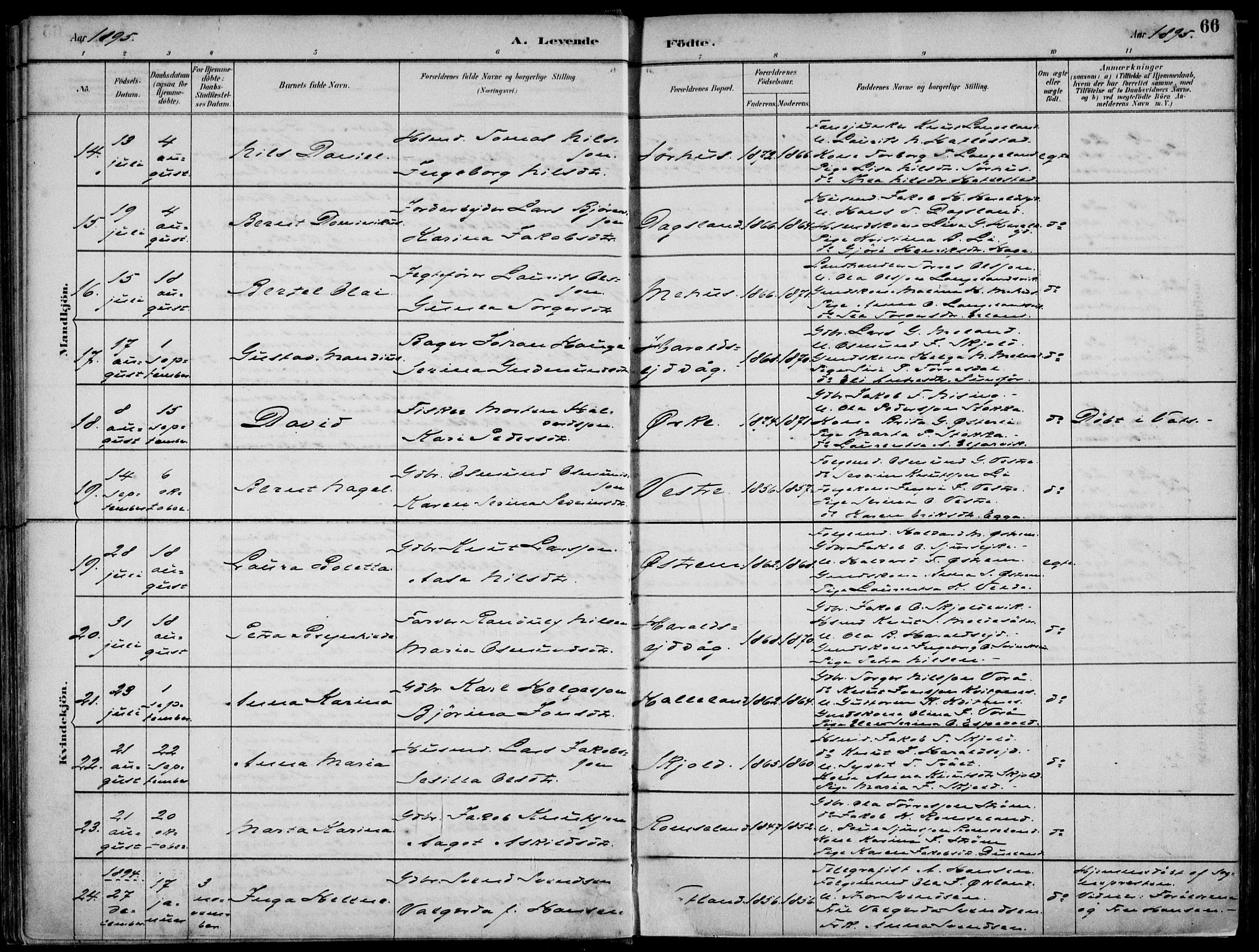 Skjold sokneprestkontor, AV/SAST-A-101847/H/Ha/Haa/L0010: Parish register (official) no. A 10, 1882-1897, p. 66