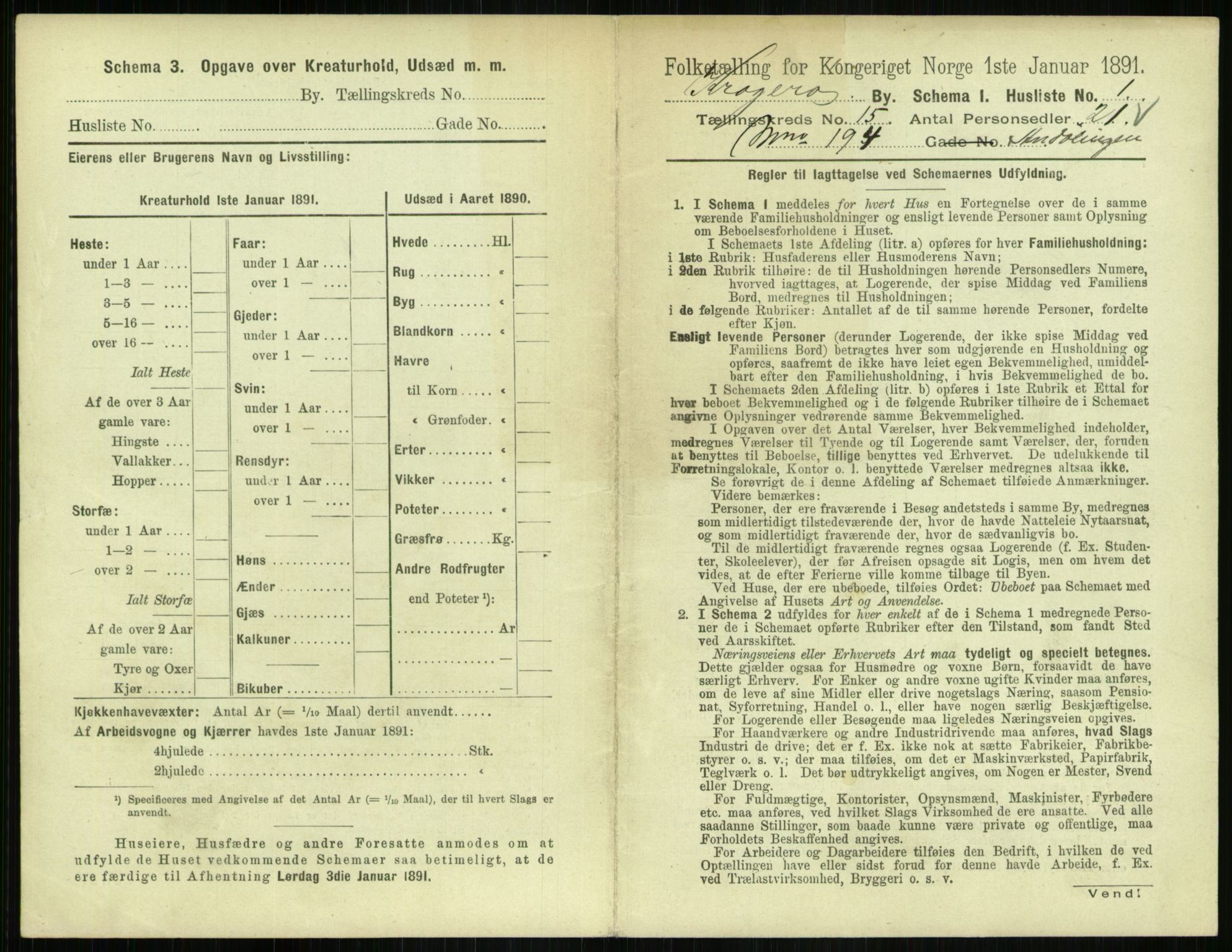 RA, 1891 census for 0801 Kragerø, 1891, p. 702