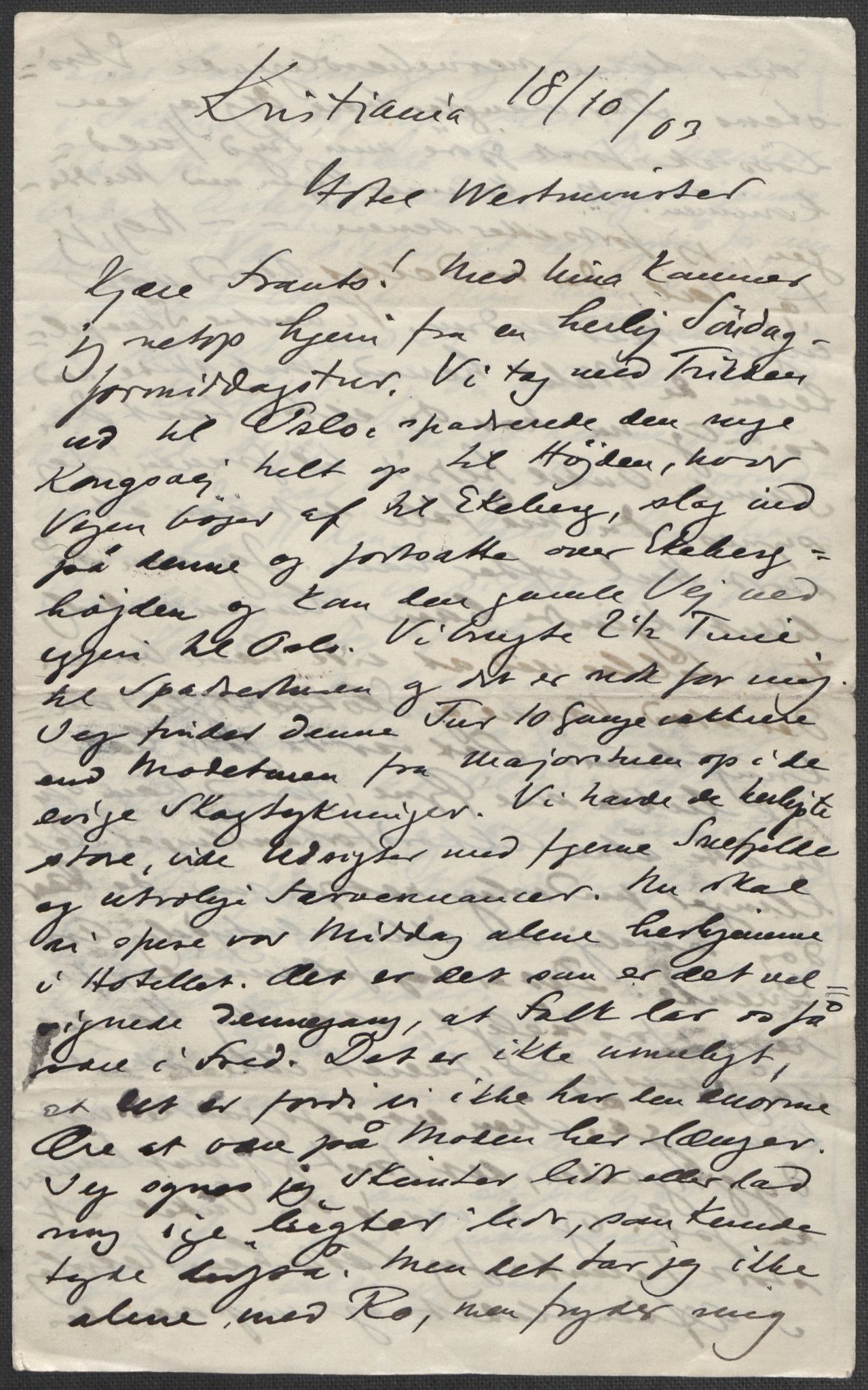 Beyer, Frants, AV/RA-PA-0132/F/L0001: Brev fra Edvard Grieg til Frantz Beyer og "En del optegnelser som kan tjene til kommentar til brevene" av Marie Beyer, 1872-1907, p. 729