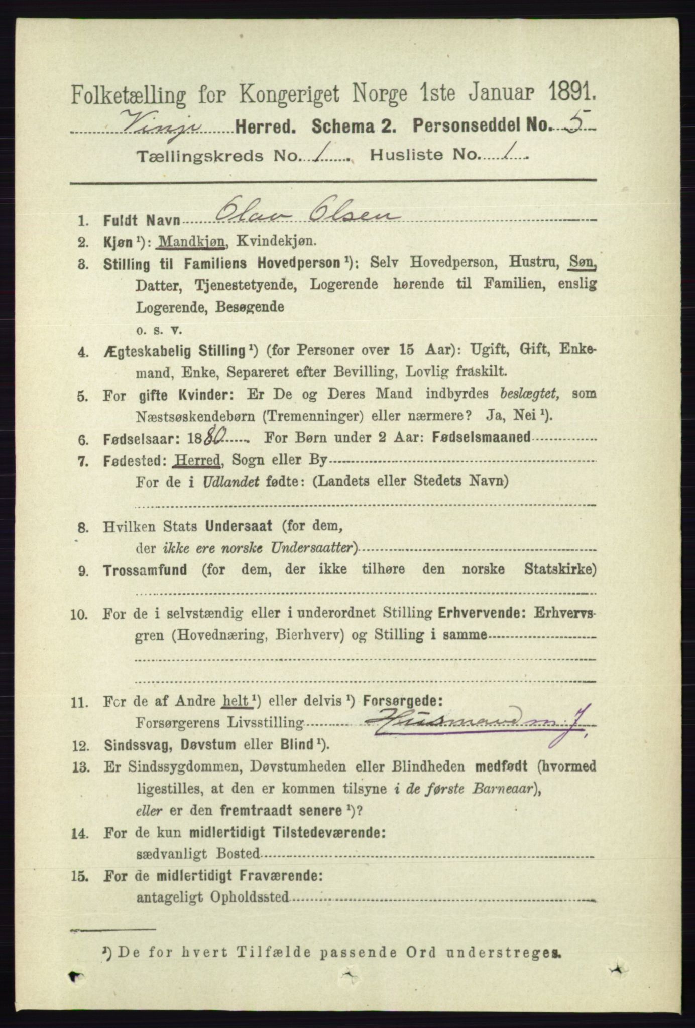 RA, 1891 census for 0834 Vinje, 1891, p. 65