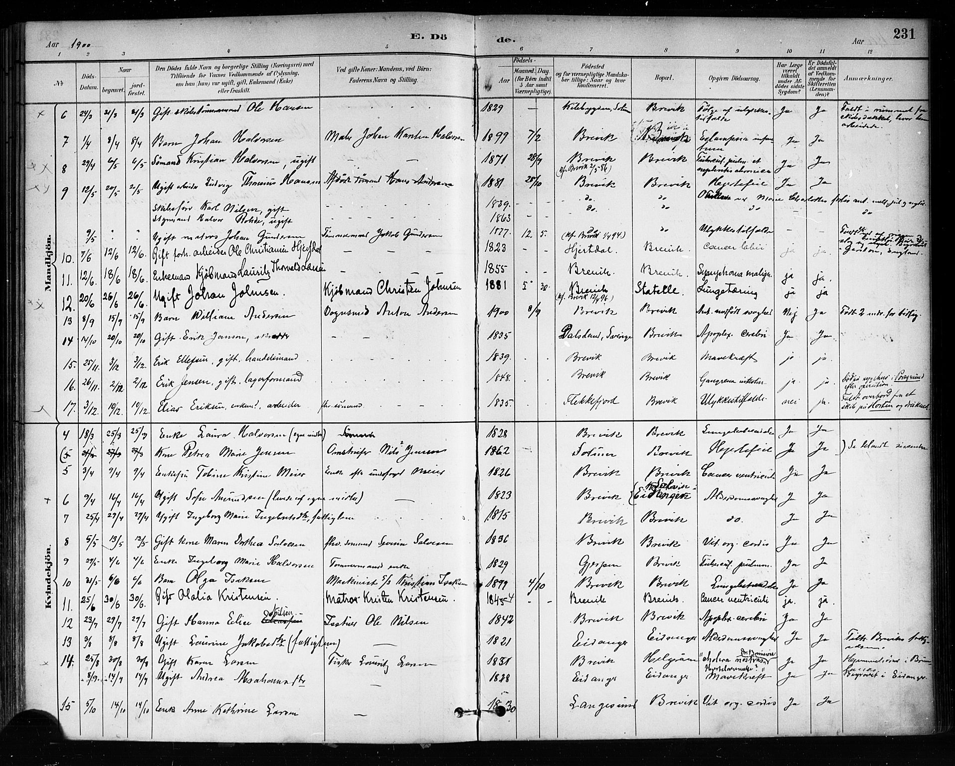 Brevik kirkebøker, AV/SAKO-A-255/F/Fa/L0007: Parish register (official) no. 7, 1882-1900, p. 231