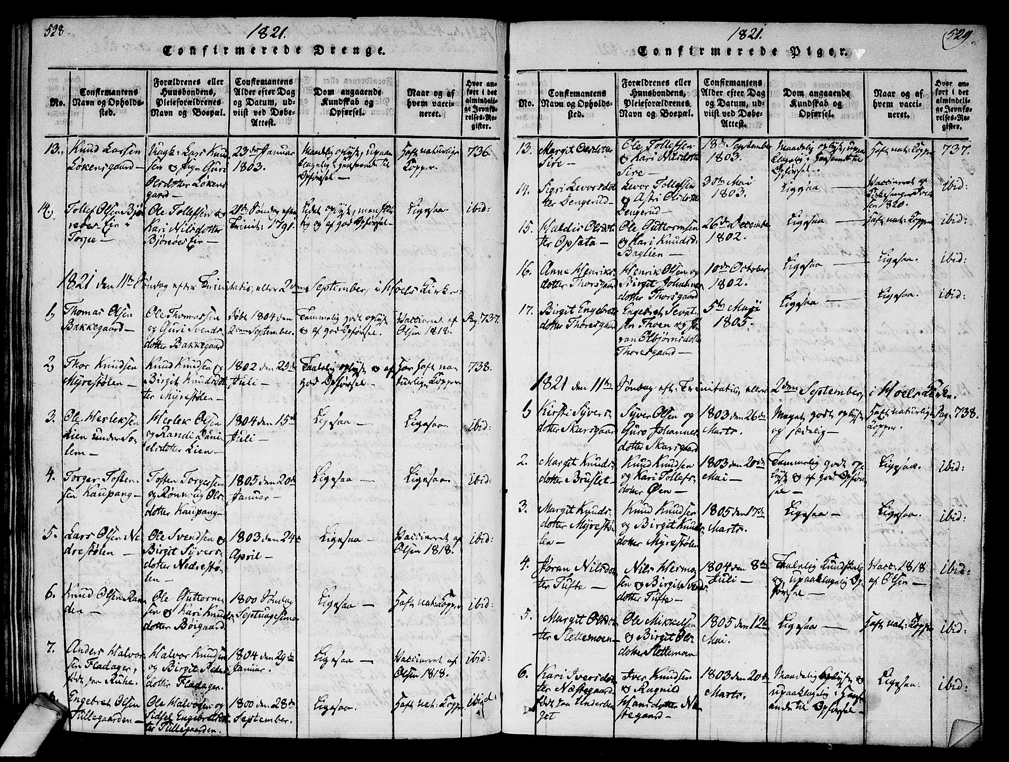 Ål kirkebøker, AV/SAKO-A-249/F/Fa/L0004: Parish register (official) no. I 4, 1815-1825, p. 528-529