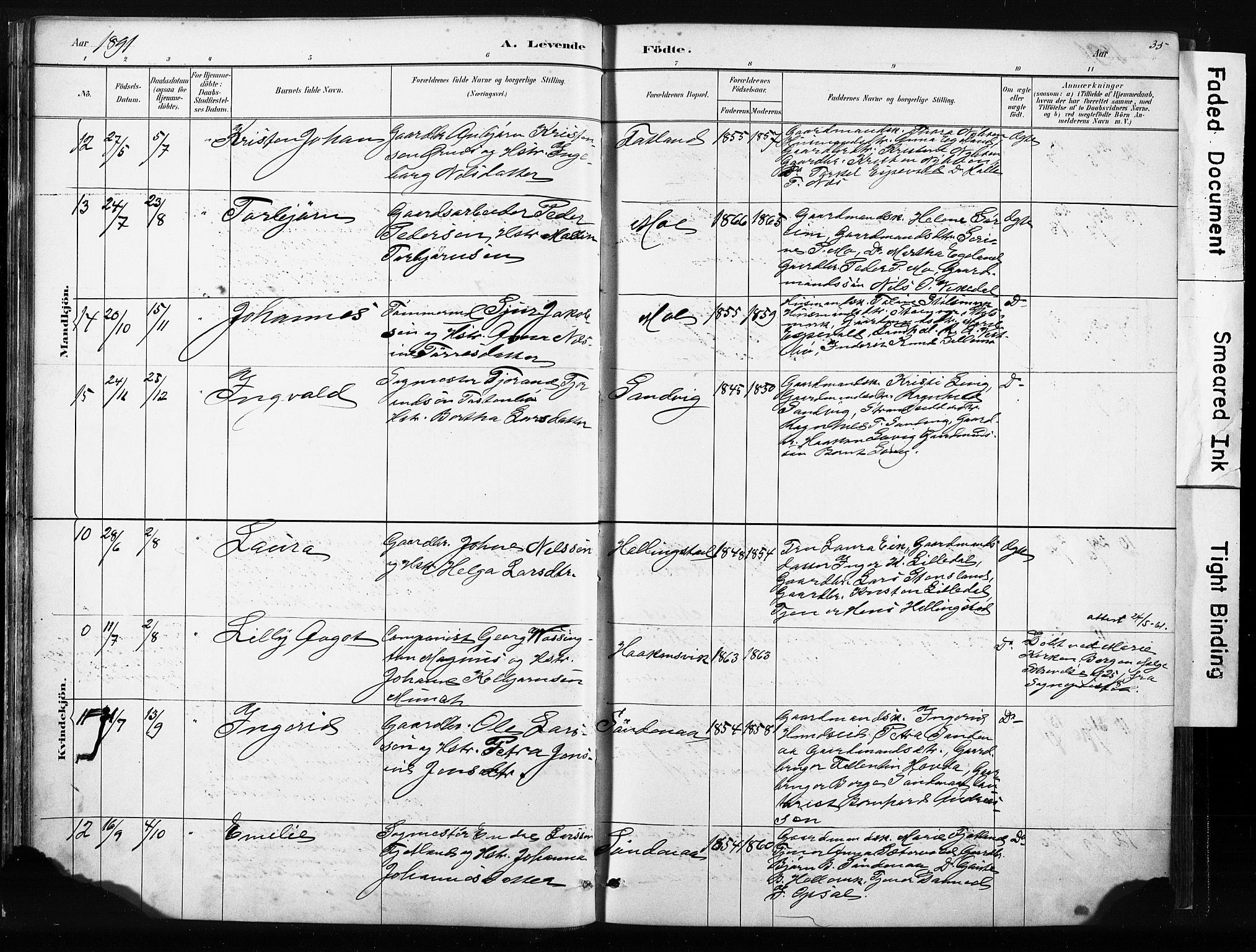 Vikedal sokneprestkontor, SAST/A-101840/01/IV: Parish register (official) no. A 10, 1884-1907, p. 35