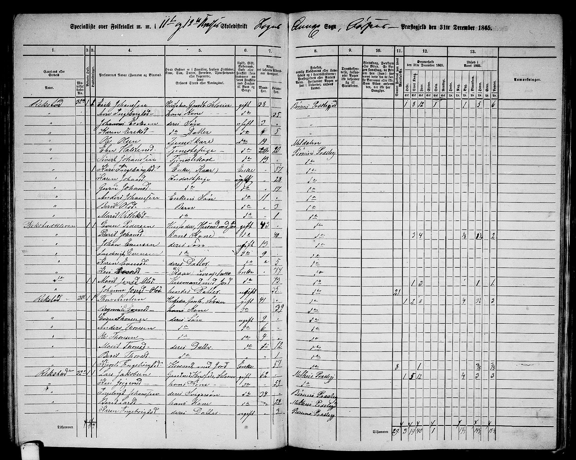 RA, 1865 census for Børsa, 1865, p. 116