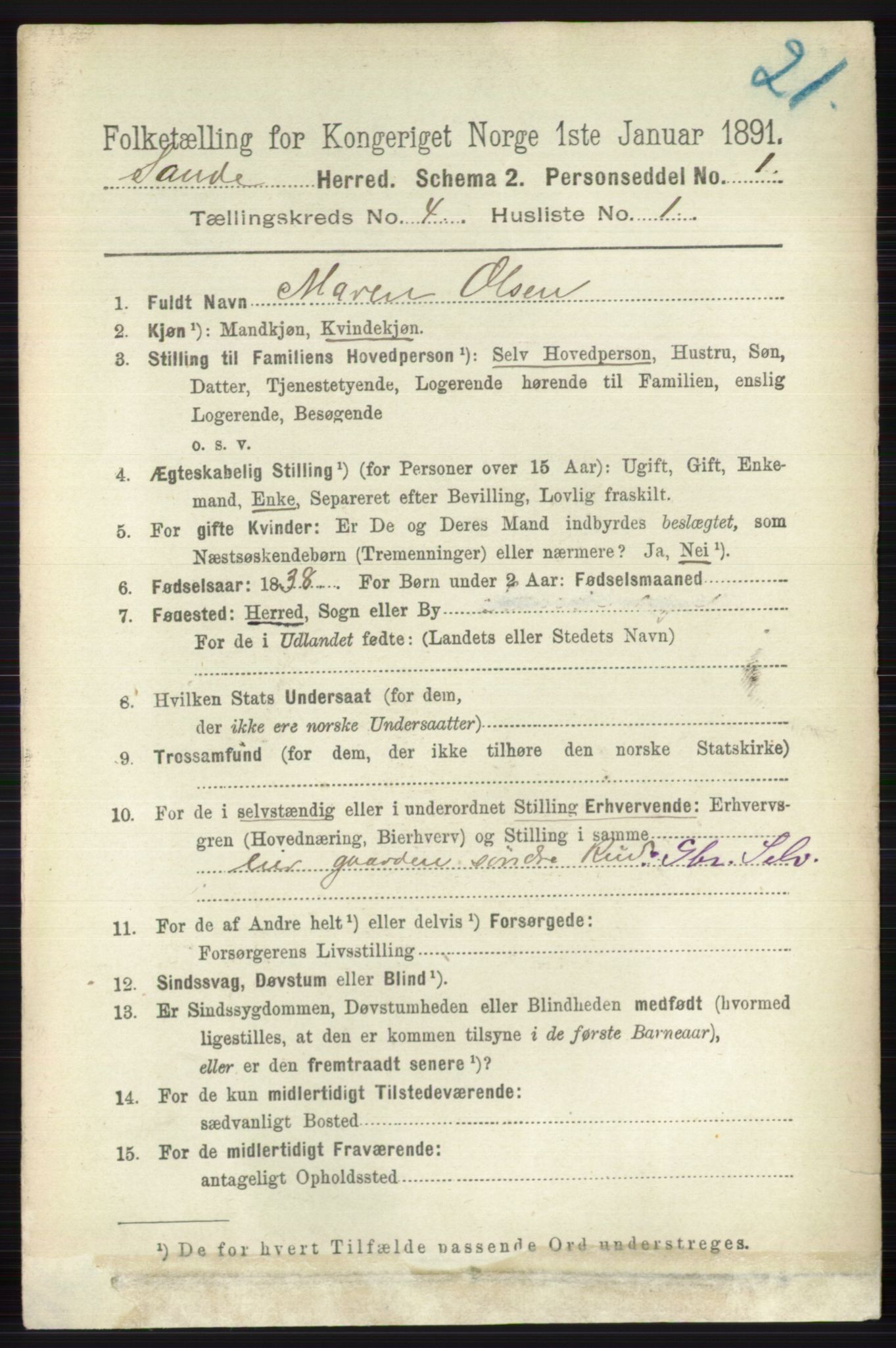 RA, 1891 census for 0713 Sande, 1891, p. 1484