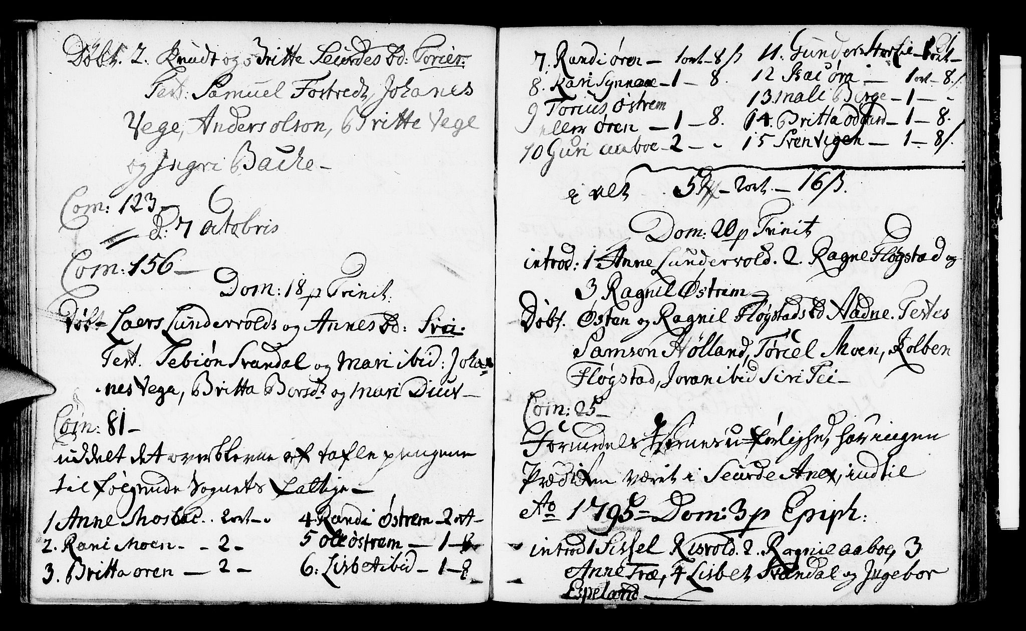 Suldal sokneprestkontor, SAST/A-101845/01/IV/L0002: Parish register (official) no. A 2, 1780-1808, p. 31