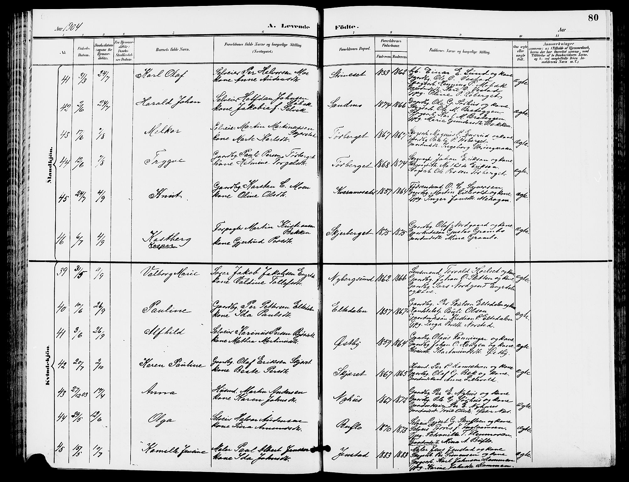 Trysil prestekontor, SAH/PREST-046/H/Ha/Hab/L0006: Parish register (copy) no. 6, 1896-1912, p. 80