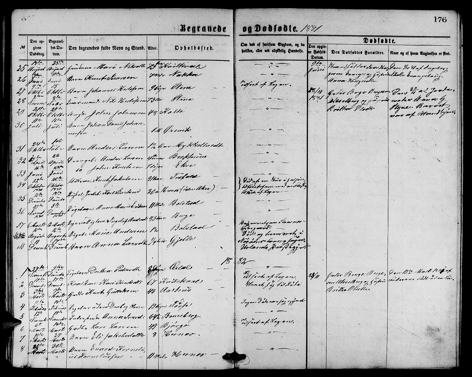 Evanger sokneprestembete, SAB/A-99924: Parish register (copy) no. A 3, 1875-1887, p. 176