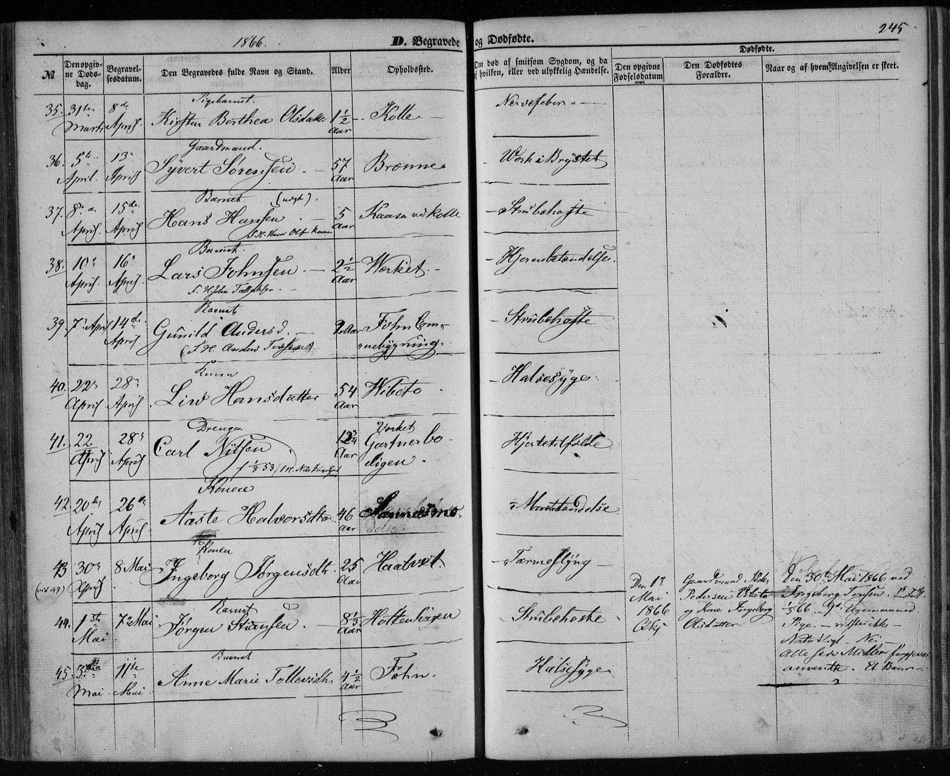 Holla kirkebøker, AV/SAKO-A-272/F/Fa/L0006: Parish register (official) no. 6, 1861-1869, p. 245