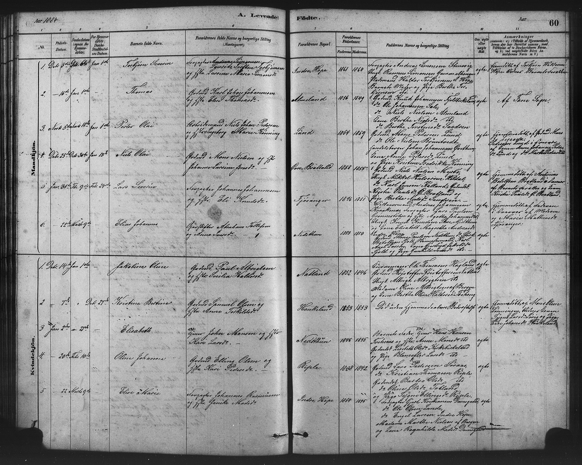 Birkeland Sokneprestembete, SAB/A-74601/H/Hab: Parish register (copy) no. A 3, 1877-1887, p. 60