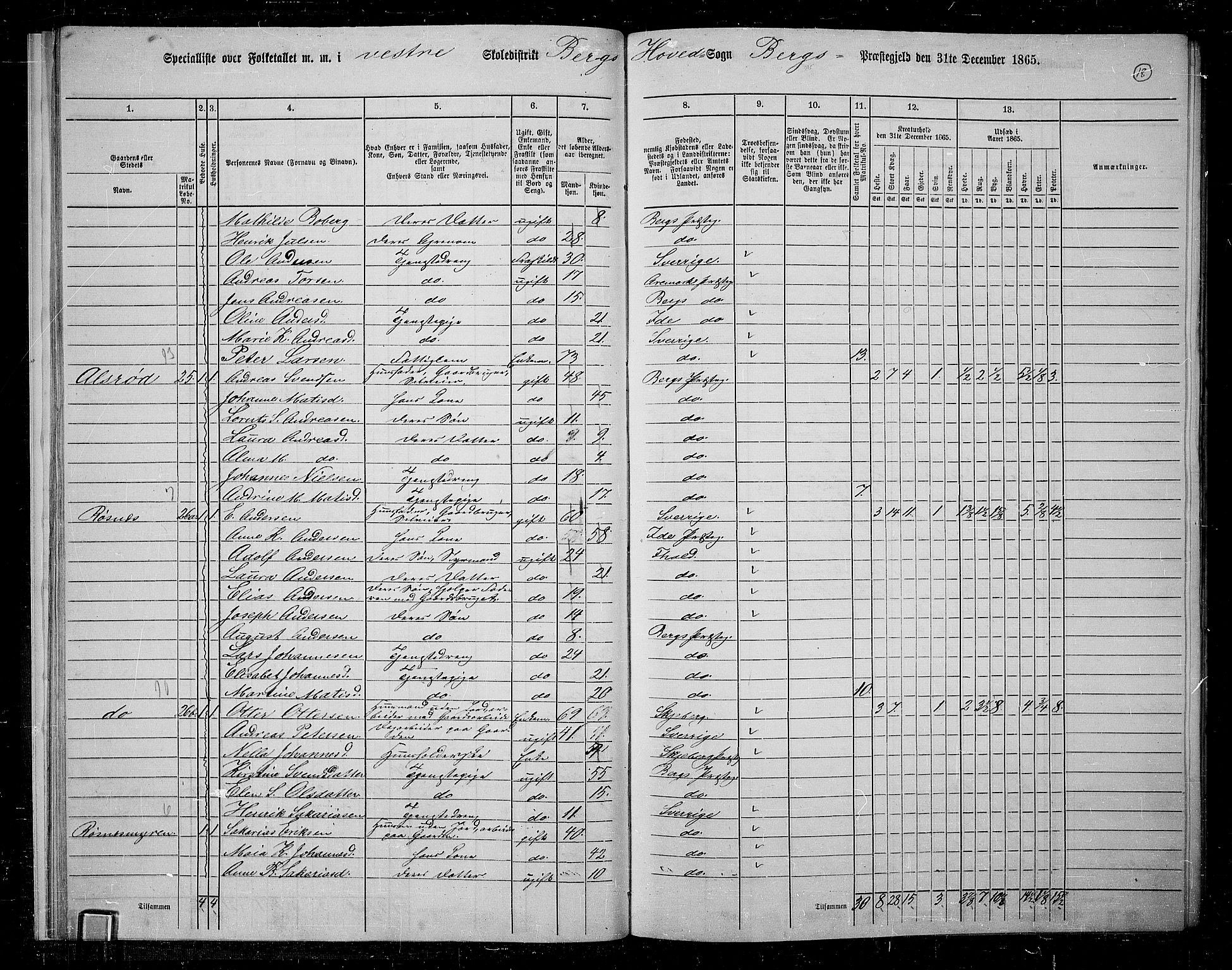 RA, 1865 census for Berg, 1865, p. 18